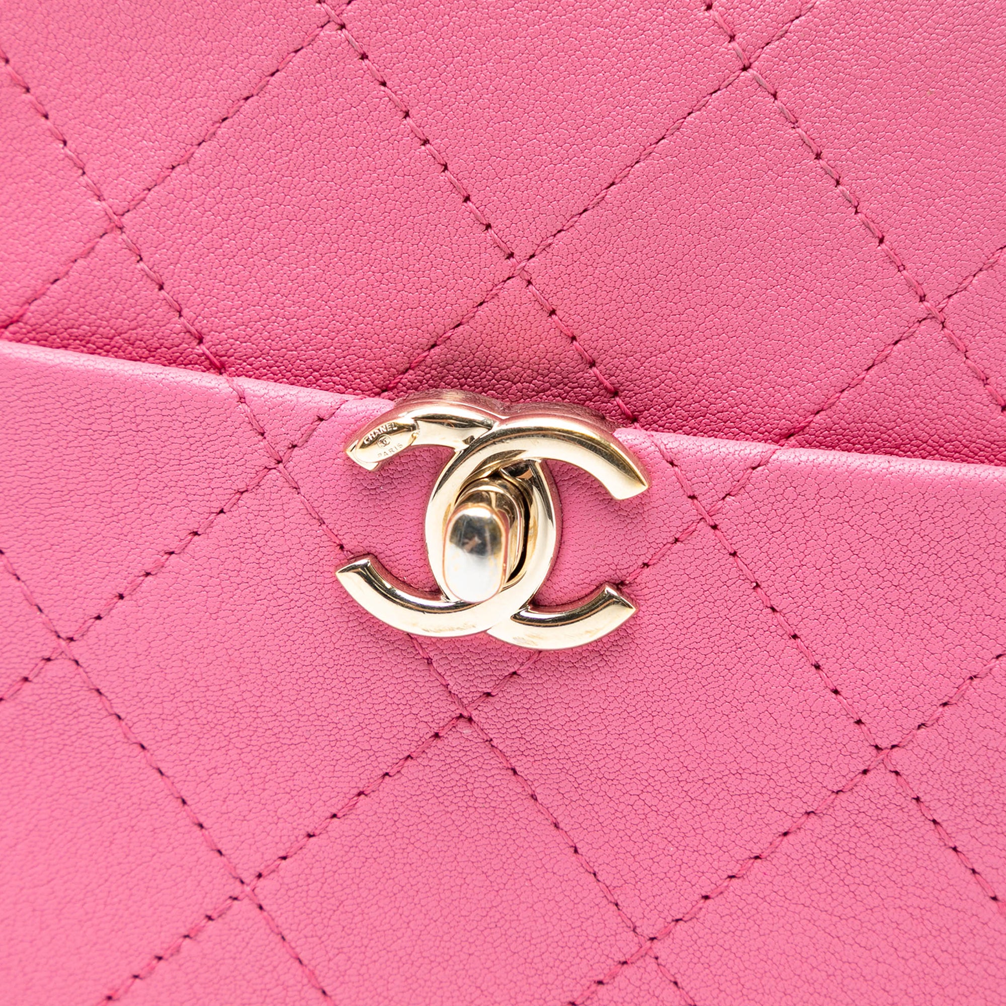 Chanel Stitched Goatskin Casual Trip North South Camera Case - image 6