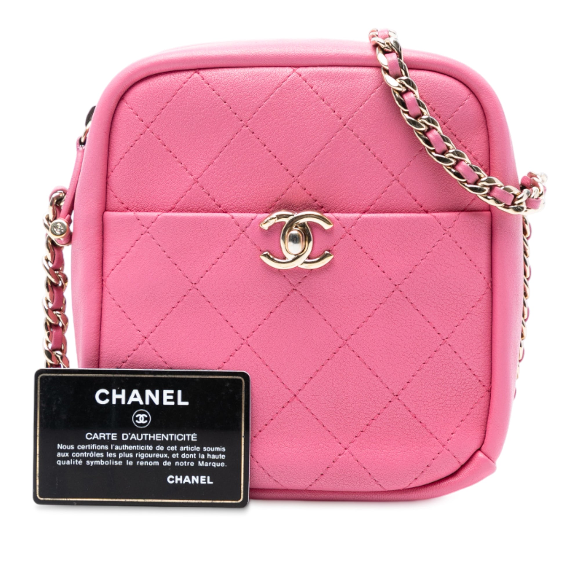 Chanel Stitched Goatskin Casual Trip North South Camera Case - image 8