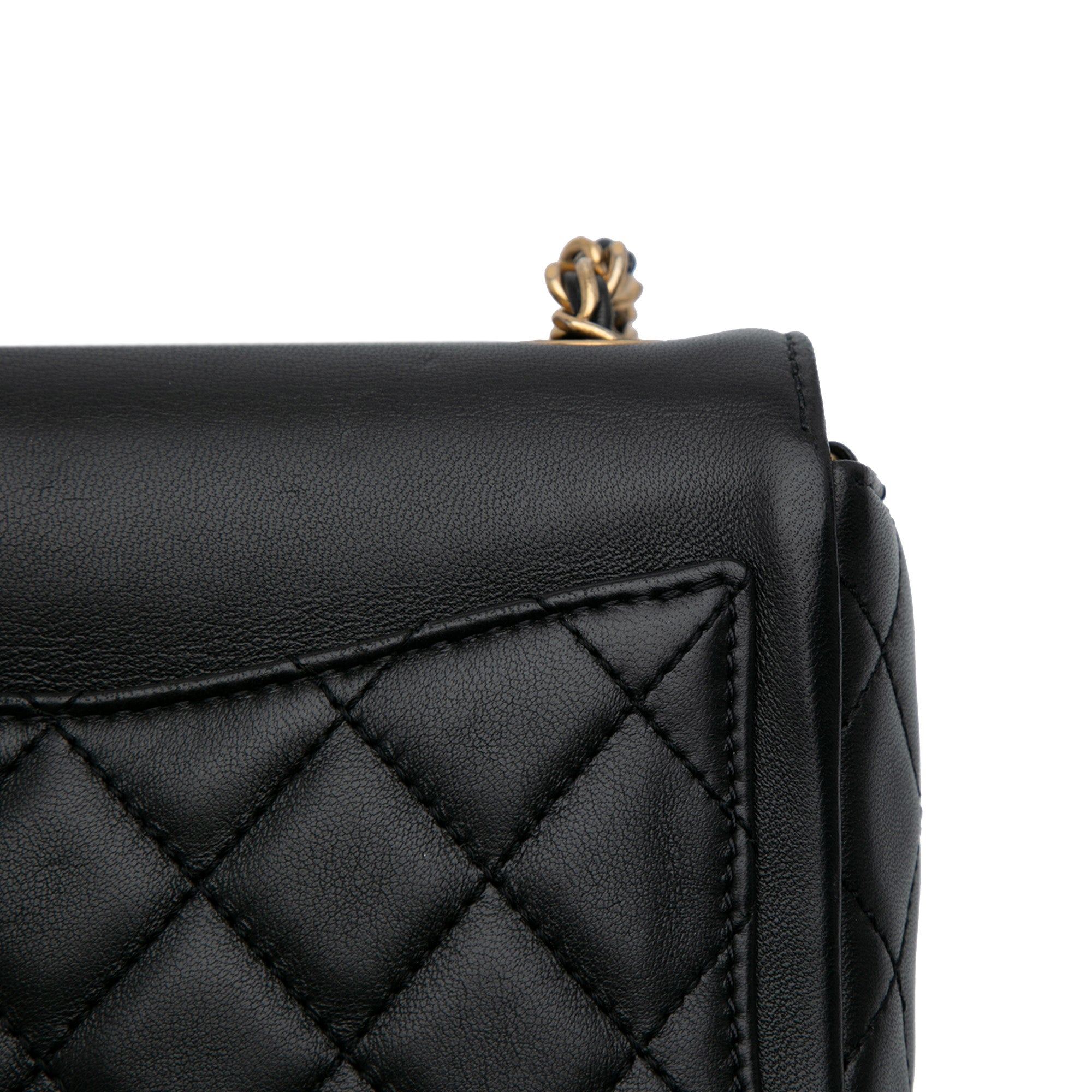 Chanel Lambskin Lucky Charms Flap Crossbody - image 9