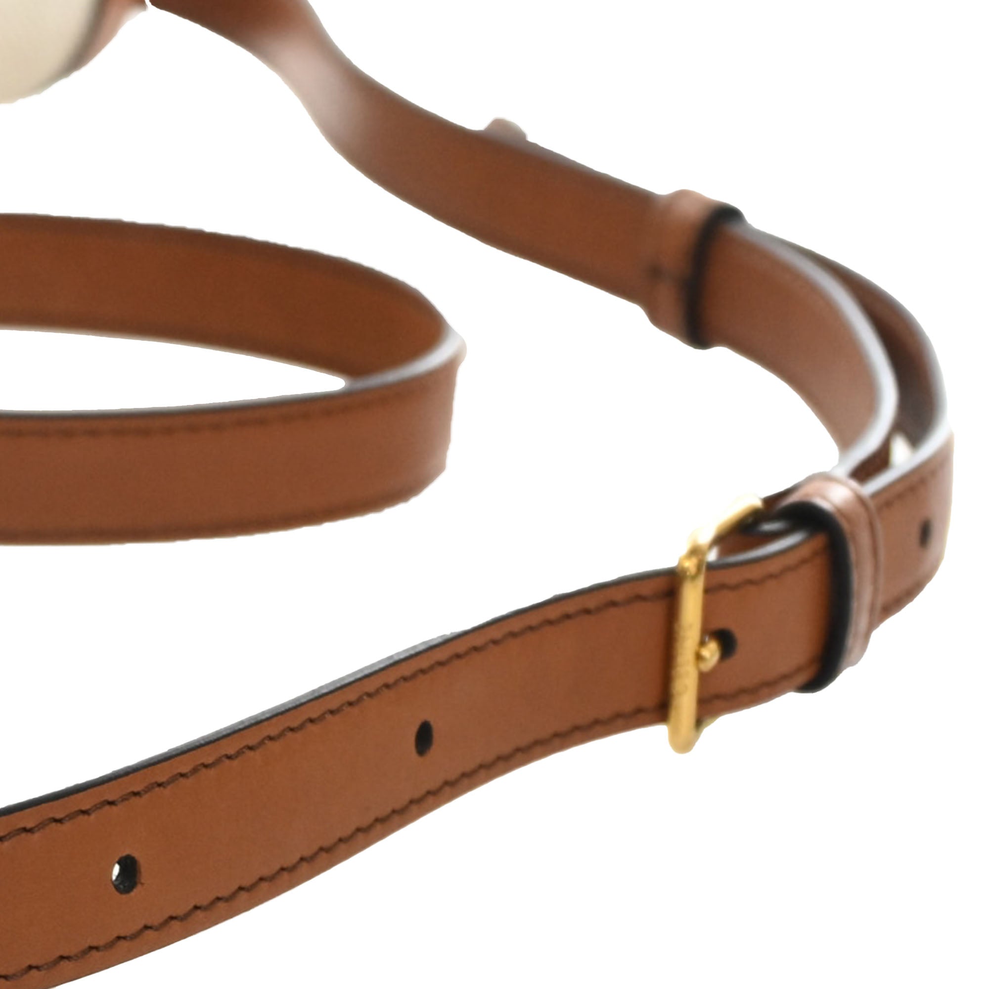 Celine Teen Canvas and Calfskin Triomphe Crossbody - image 12