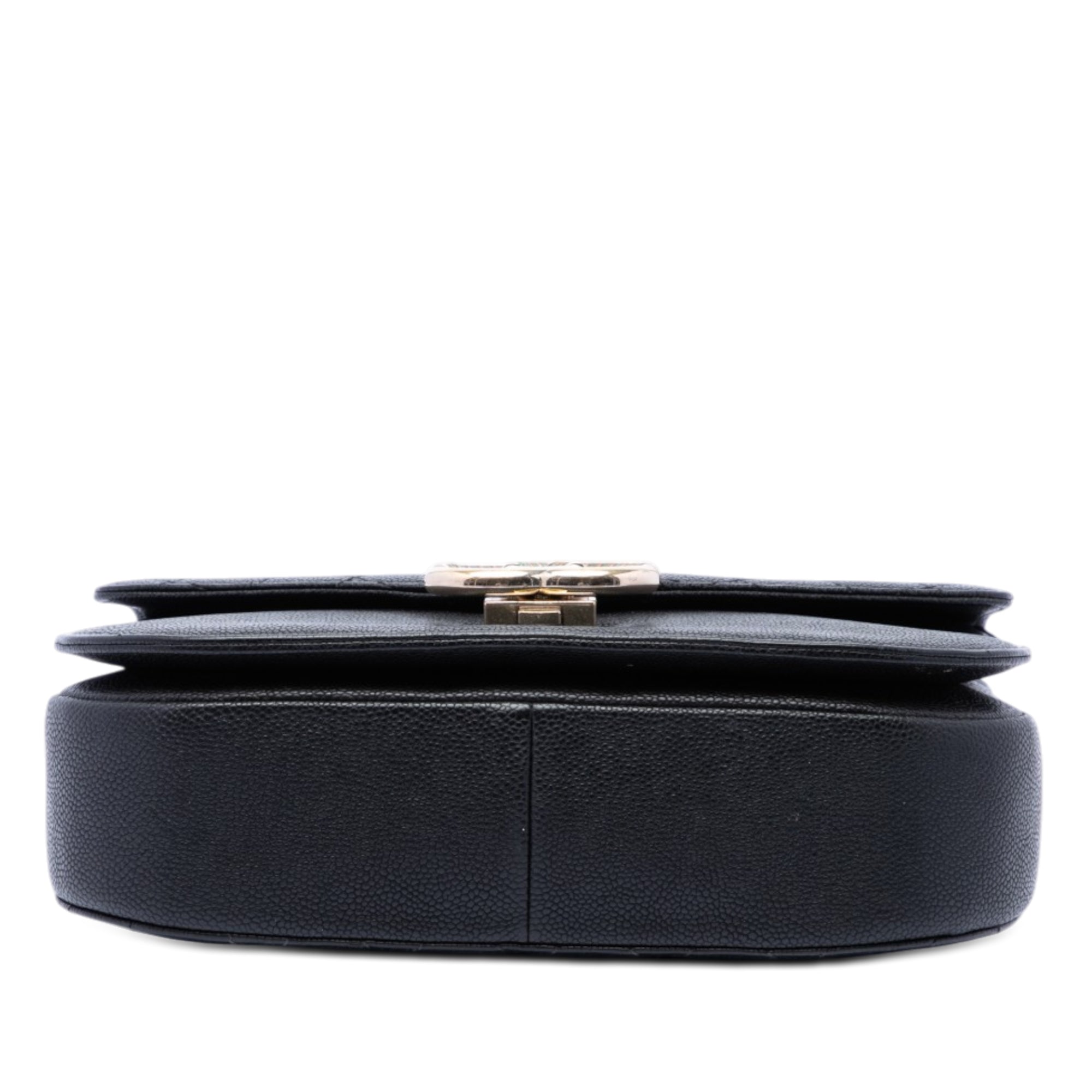 Chanel Paris Cuba Medium Quilted Caviar Thread Around Flap - image 3
