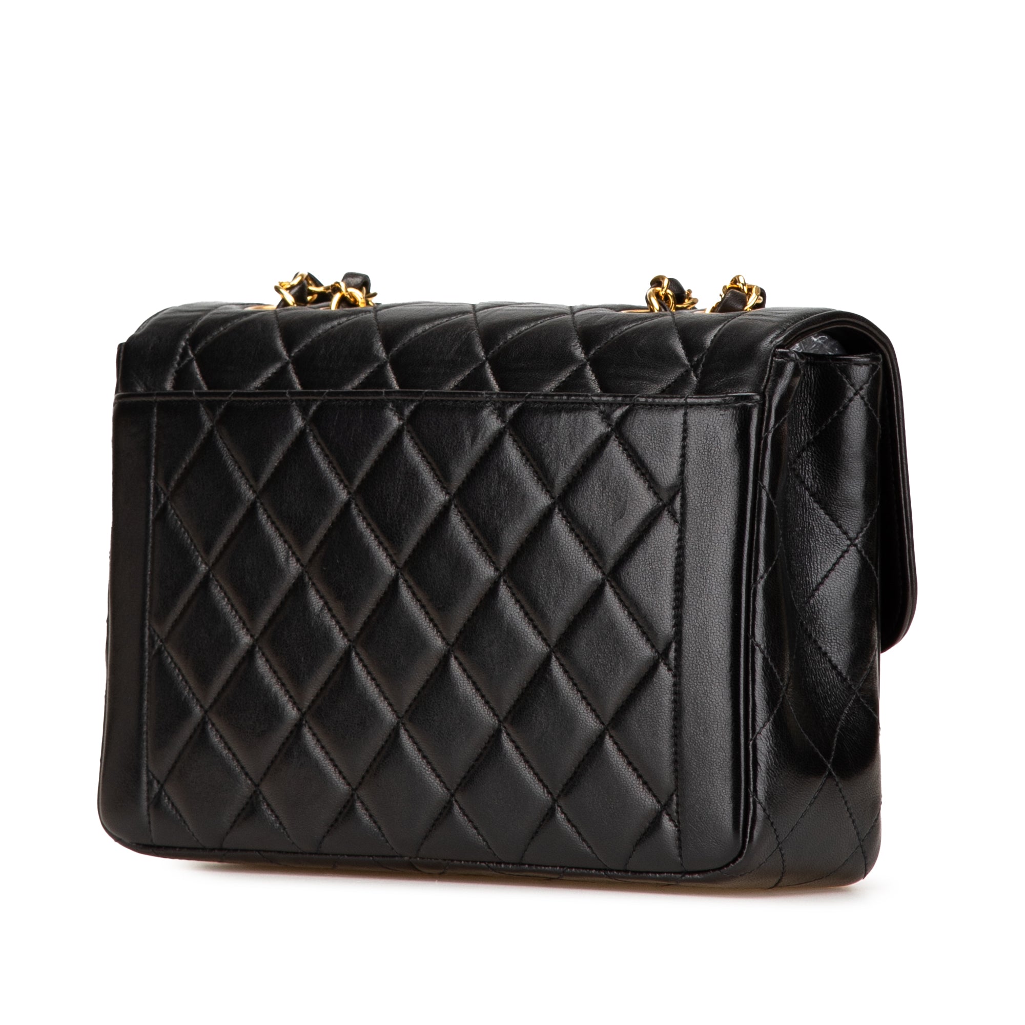 Chanel Medium CC Quilted Lambskin Border Single Flap - image 2