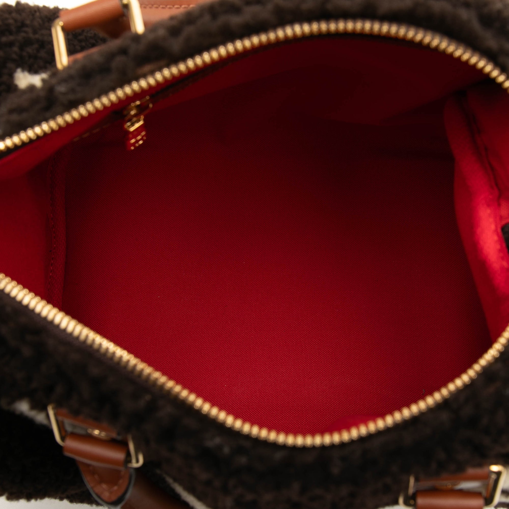 Louis Vuitton Monogram Giant Shearling Teddy Speedy Bandouliere 25 - image 4