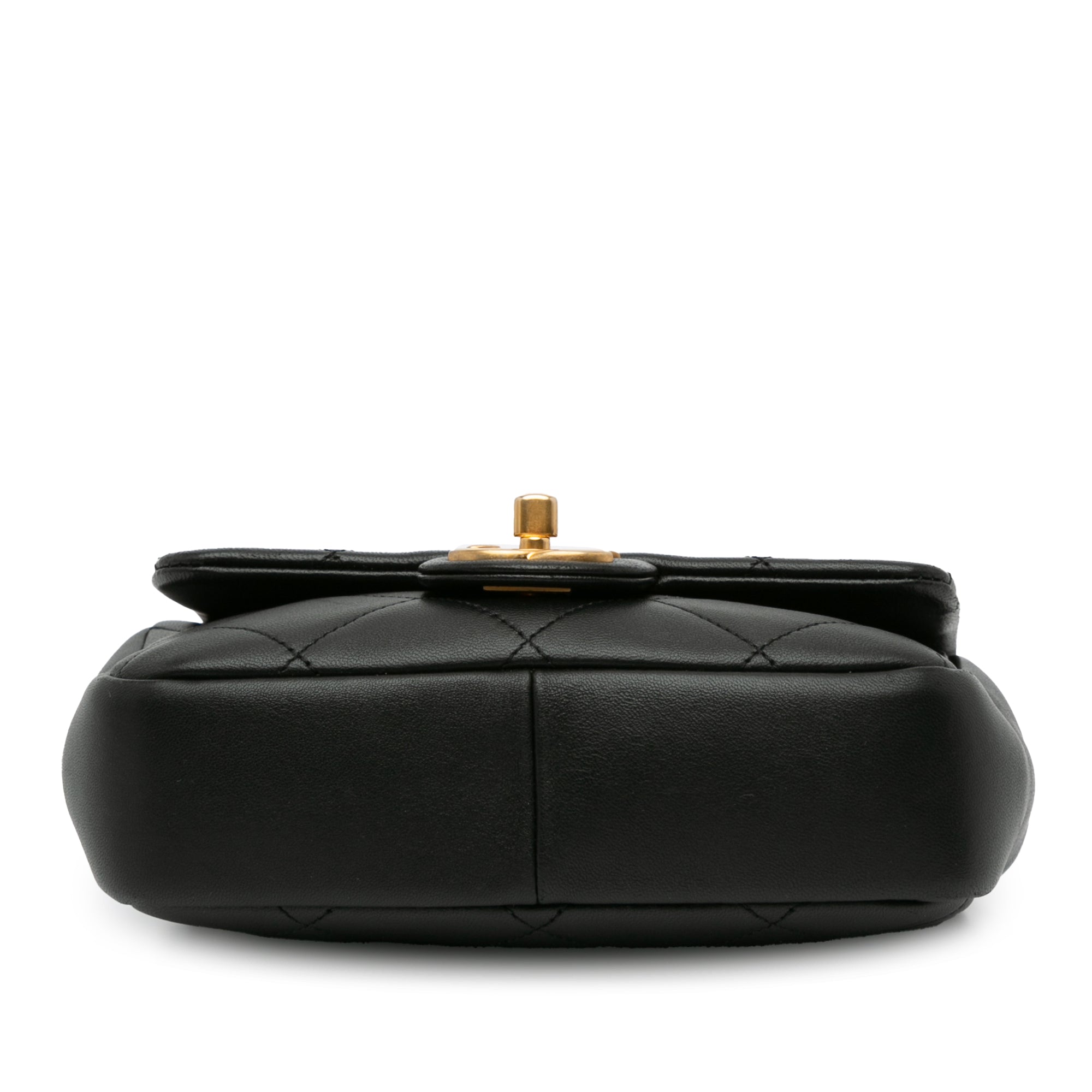 Chanel Mini Quilted Lambskin In The Loop Flap - image 4