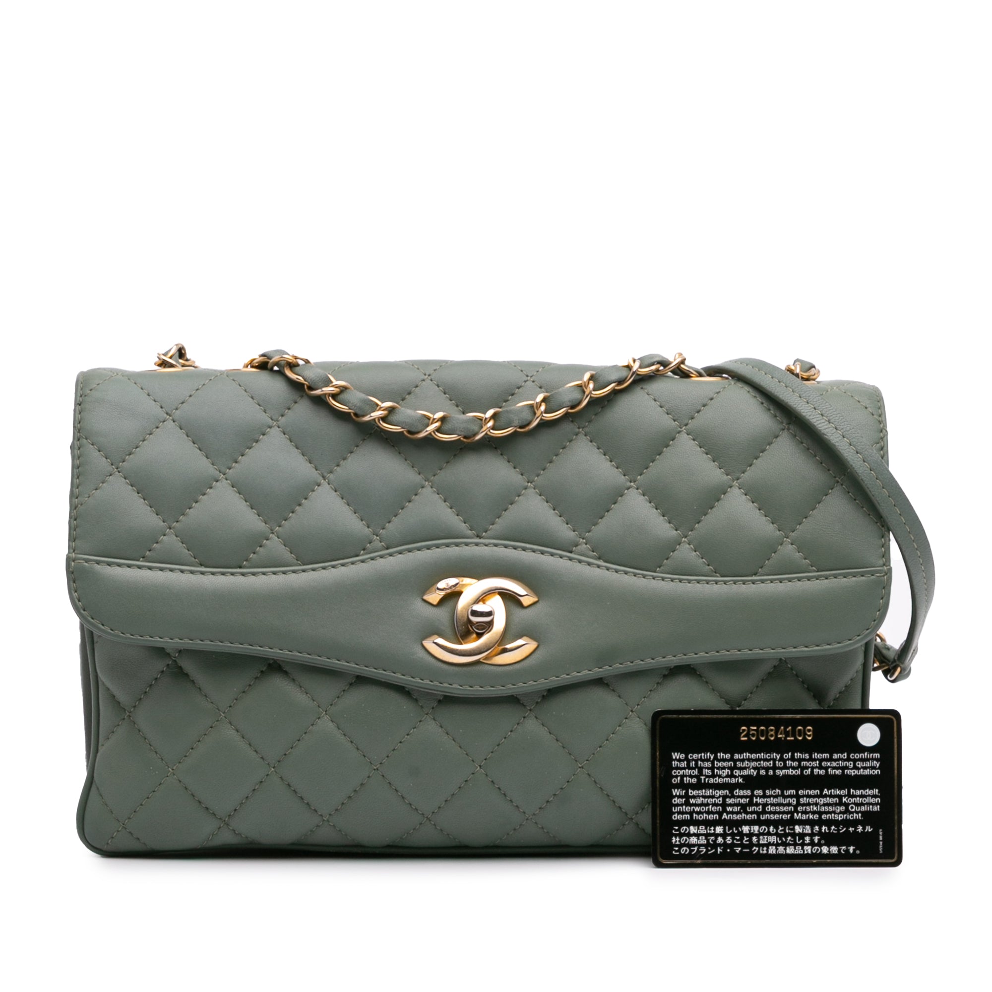Chanel Large Quilted Lambskin Daily Companion Flap - image 12