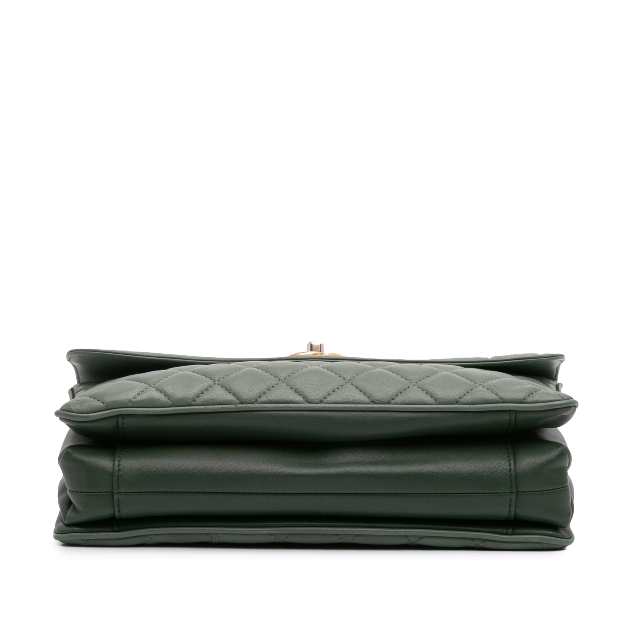 Chanel Large Quilted Lambskin Daily Companion Flap - image 3