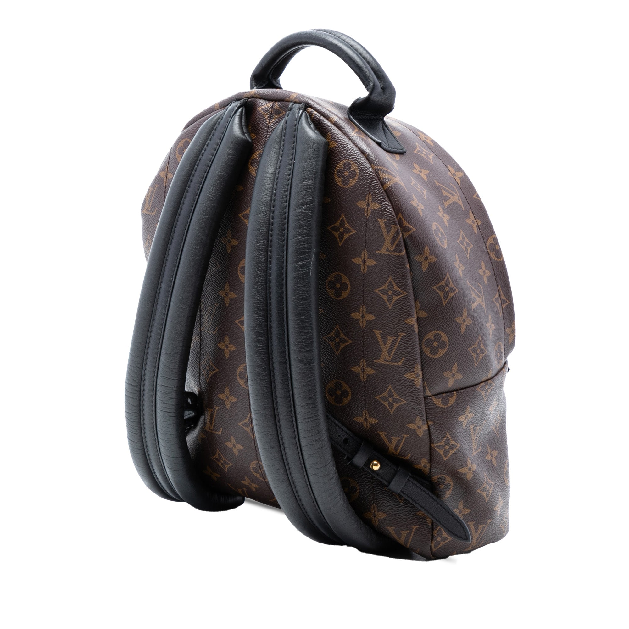 Louis Vuitton Monogram Palm Springs MM - image 2