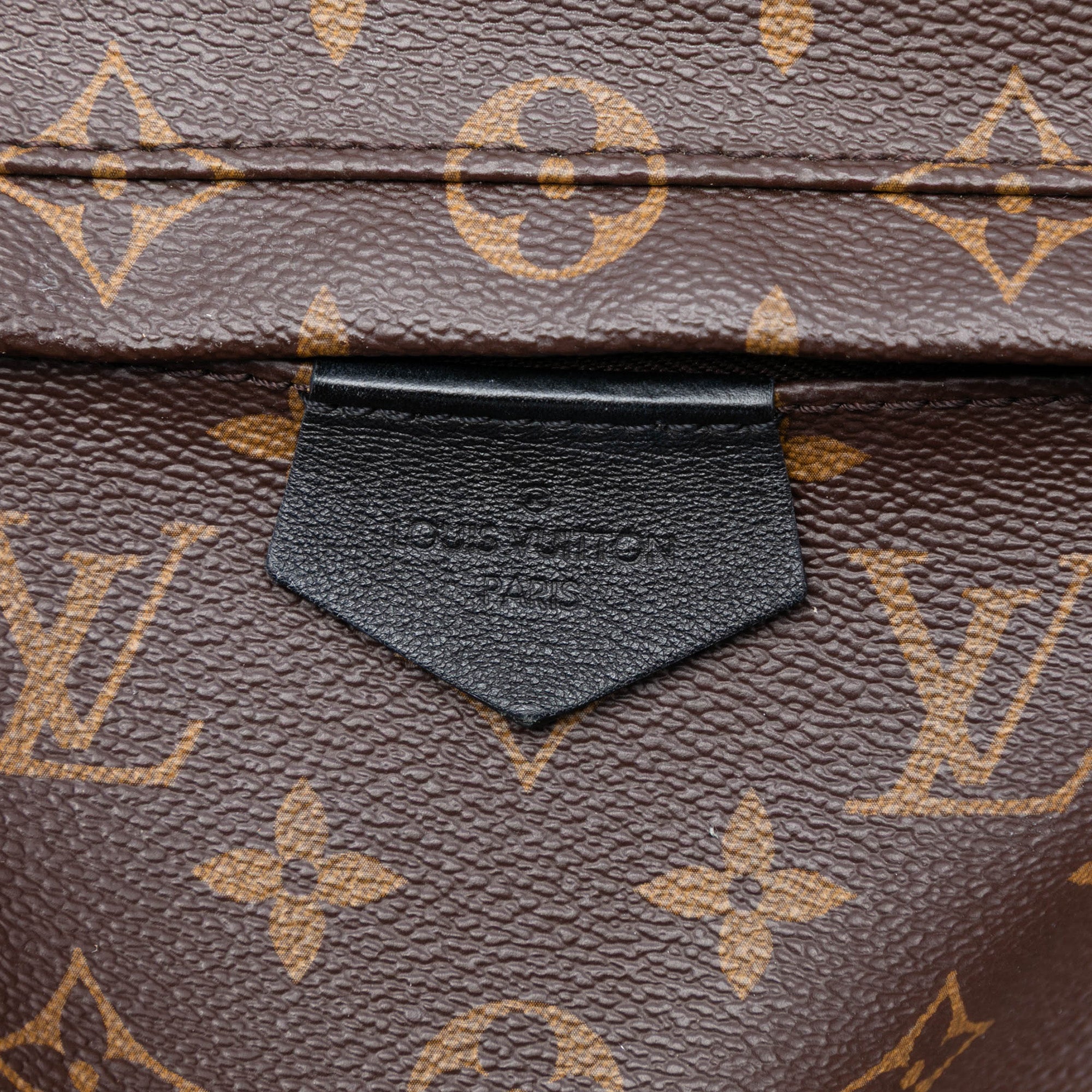Louis Vuitton Monogram Palm Springs MM - image 5
