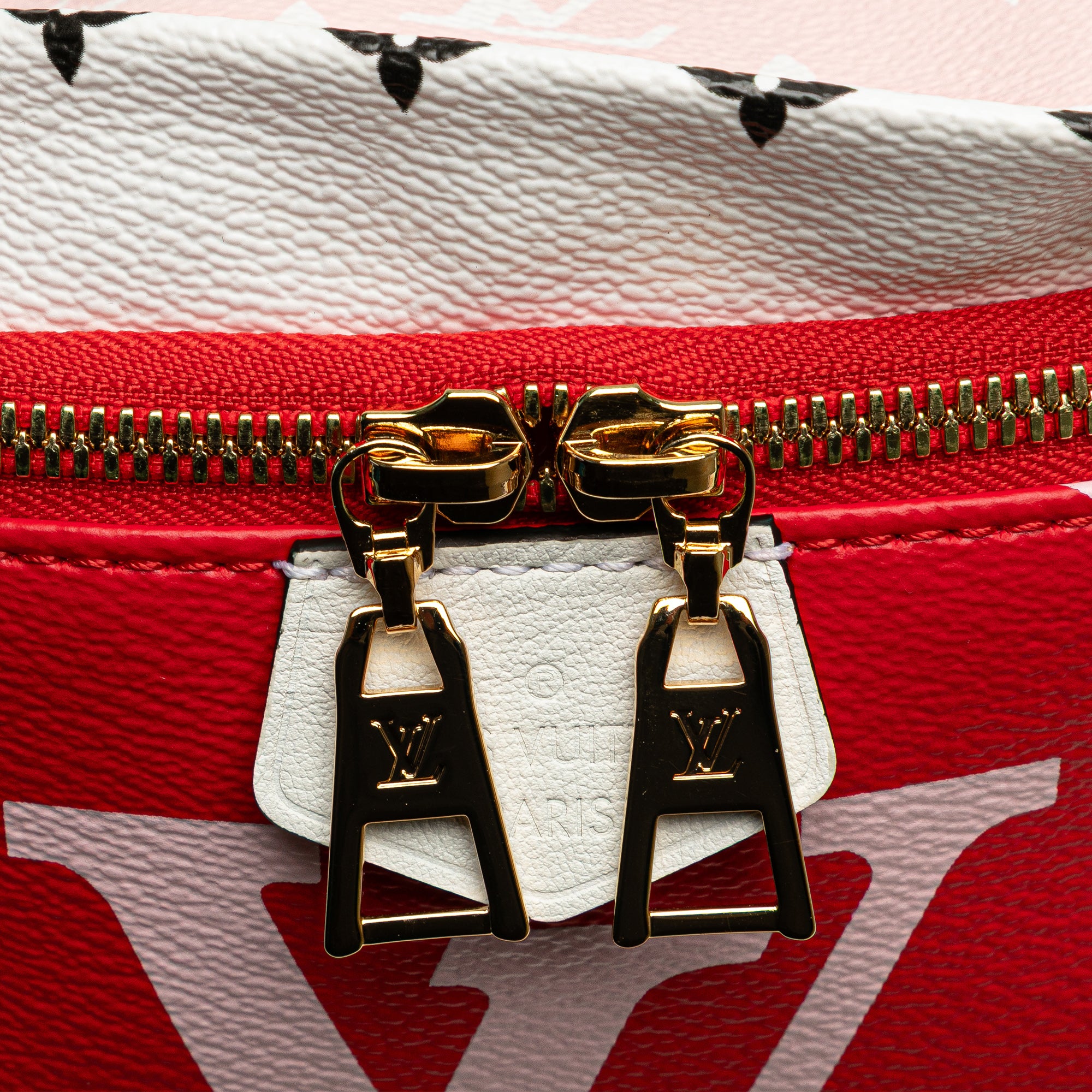 Louis Vuitton Monogram Giant Bumbag - image 7