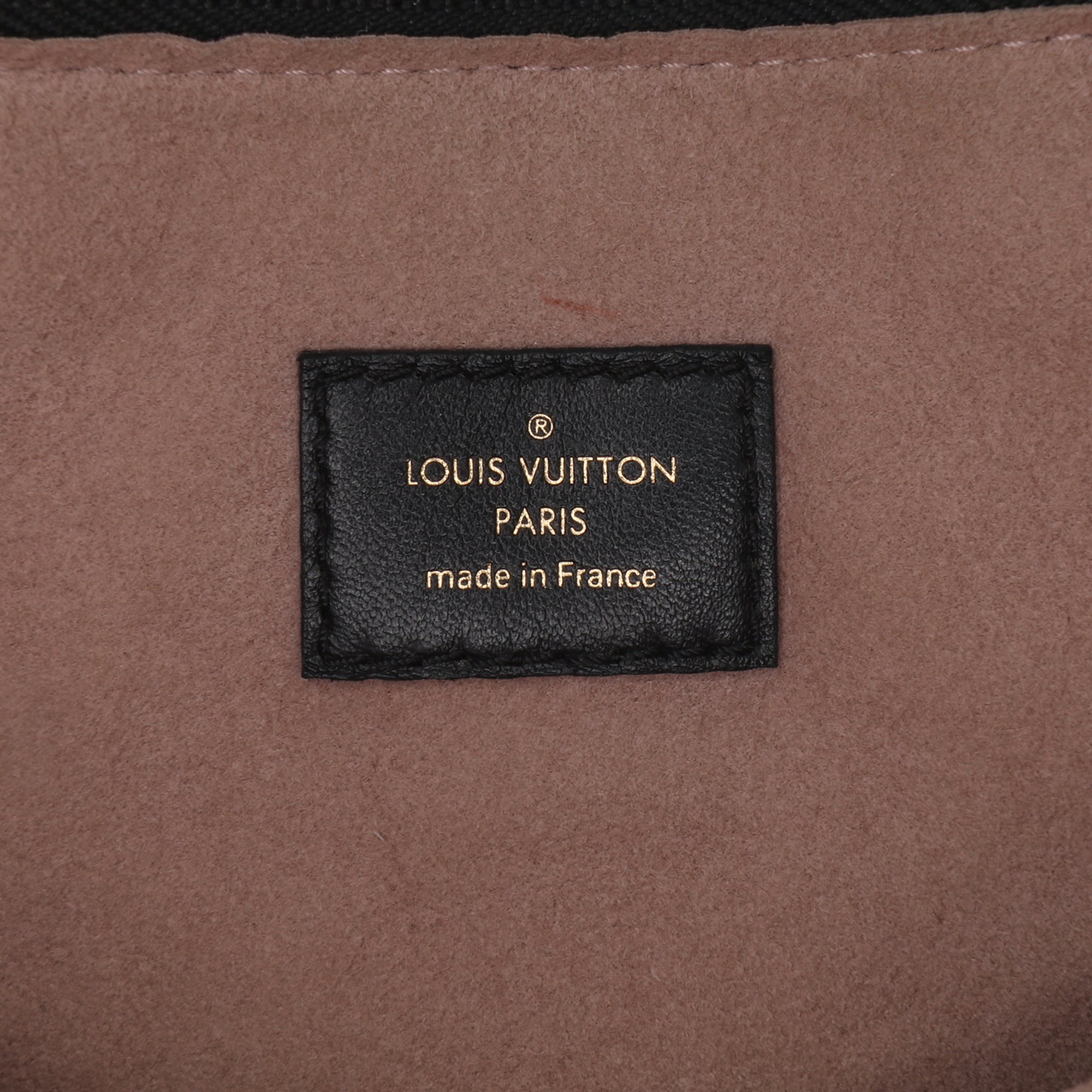 Louis Vuitton Monogram Embossed Puffy Lambskin Coussin PM - image 6