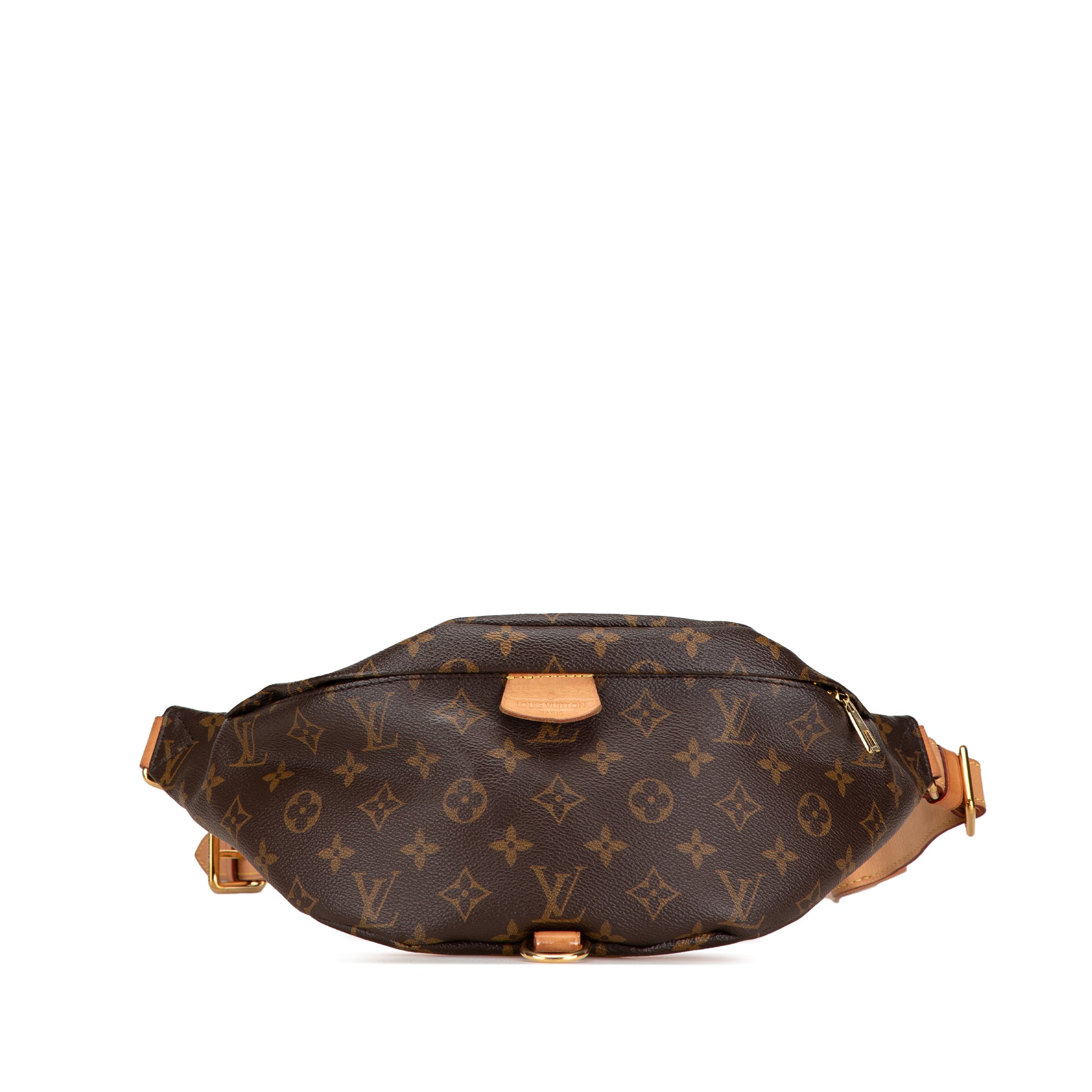 Louis Vuitton Monogram Bumbag - image 1