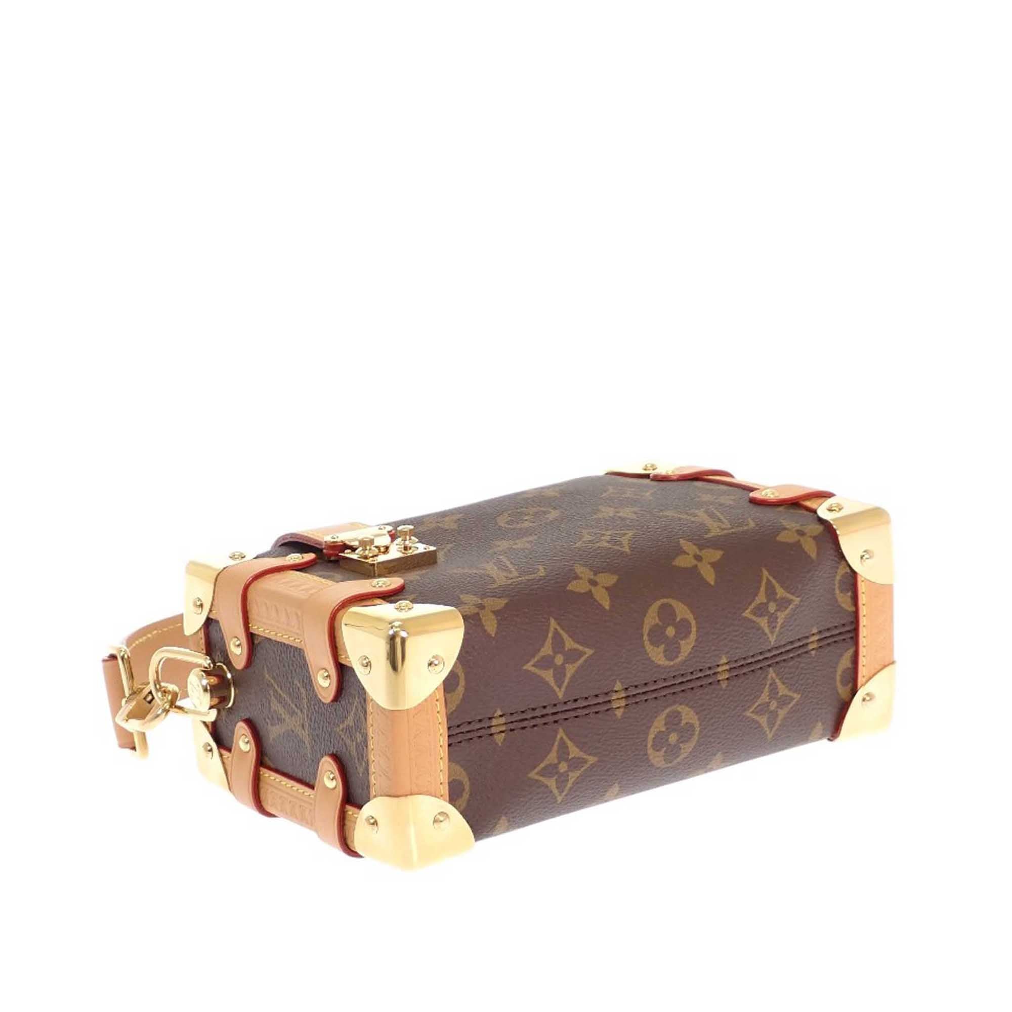 Louis Vuitton Monogram Side Trunk PM - image 7