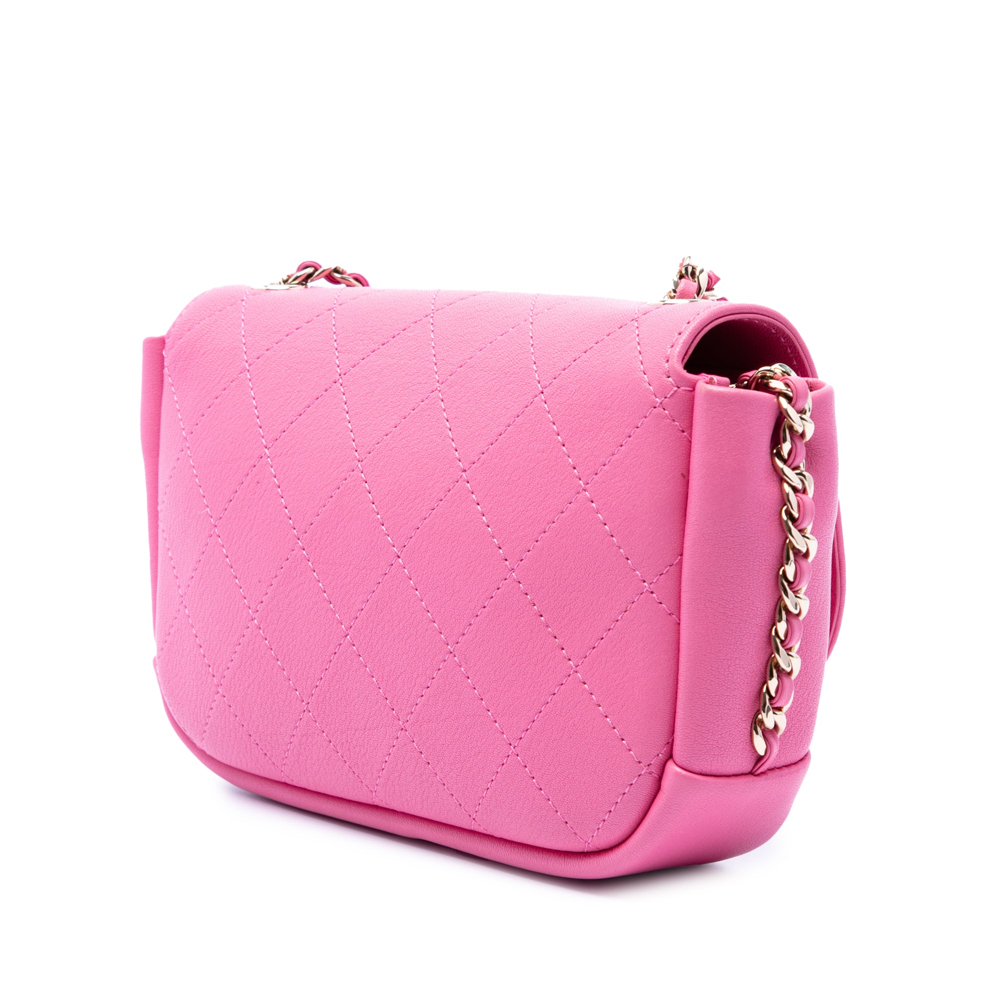 Chanel CC Quilted Goatskin Casual Trip Flap - image 2