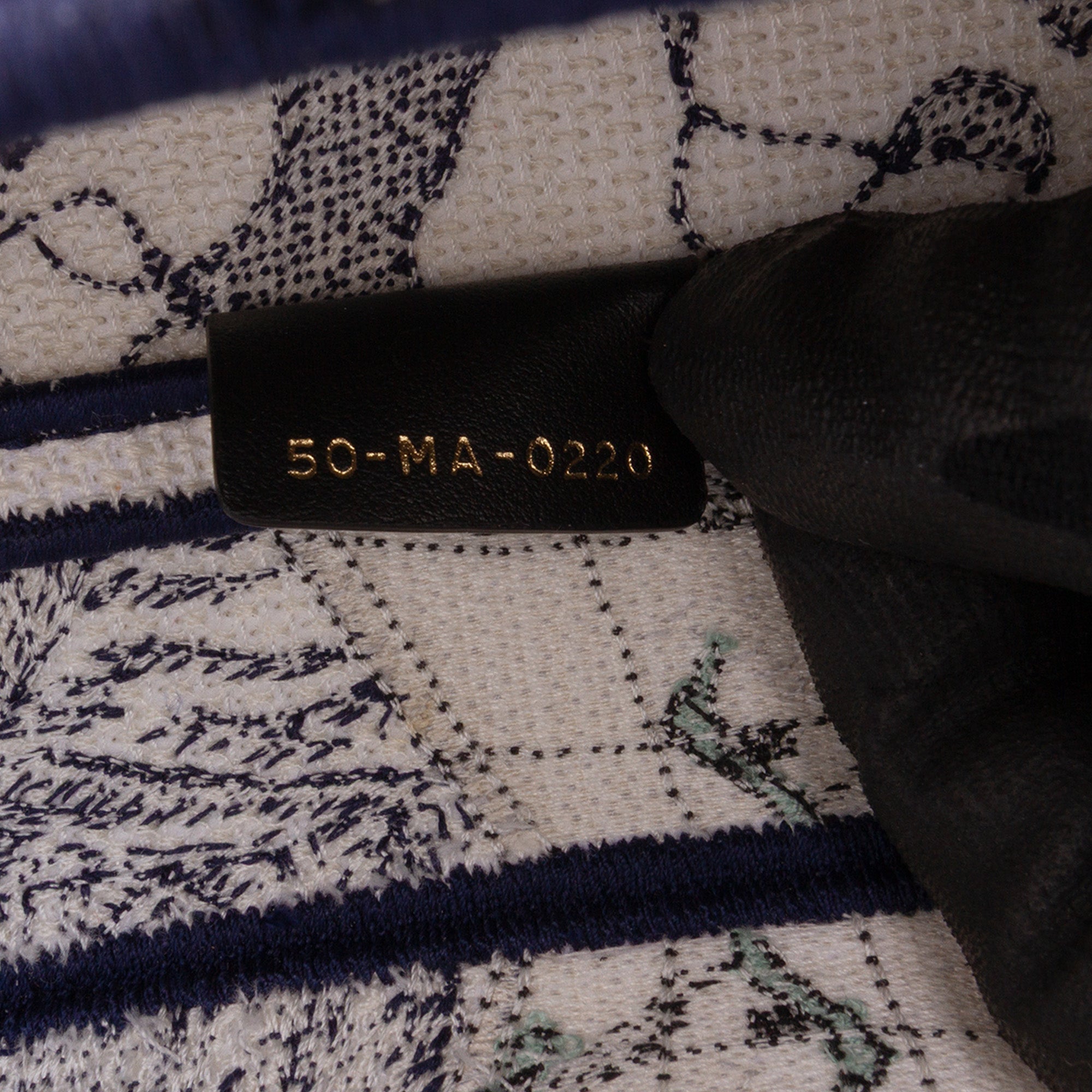 Dior Canvas Embroidered Around the World Saddle Bag - image 5