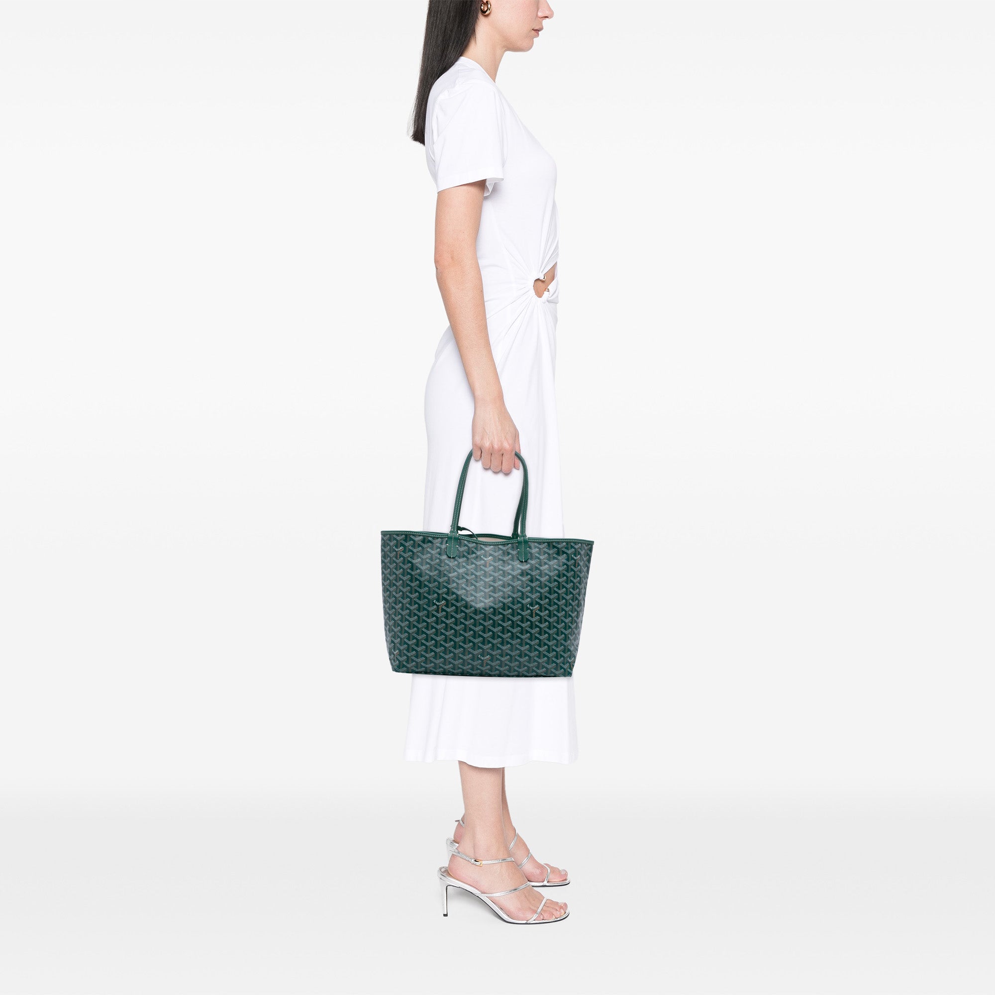 Goyard Goyardine Saint Louis PM - image 11