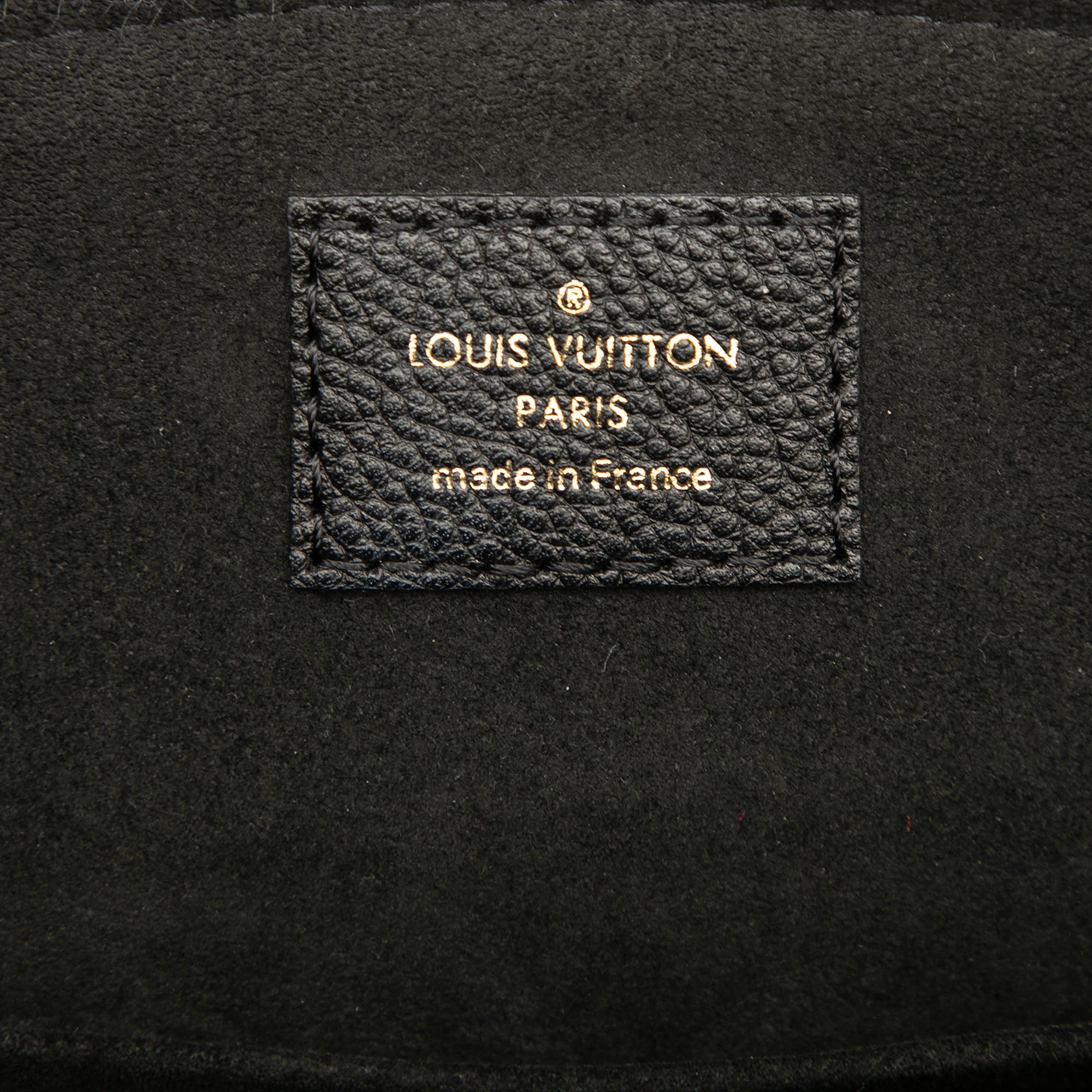 Louis Vuitton Bicolor Monogram Empreinte Giant Petit Palais - image 5