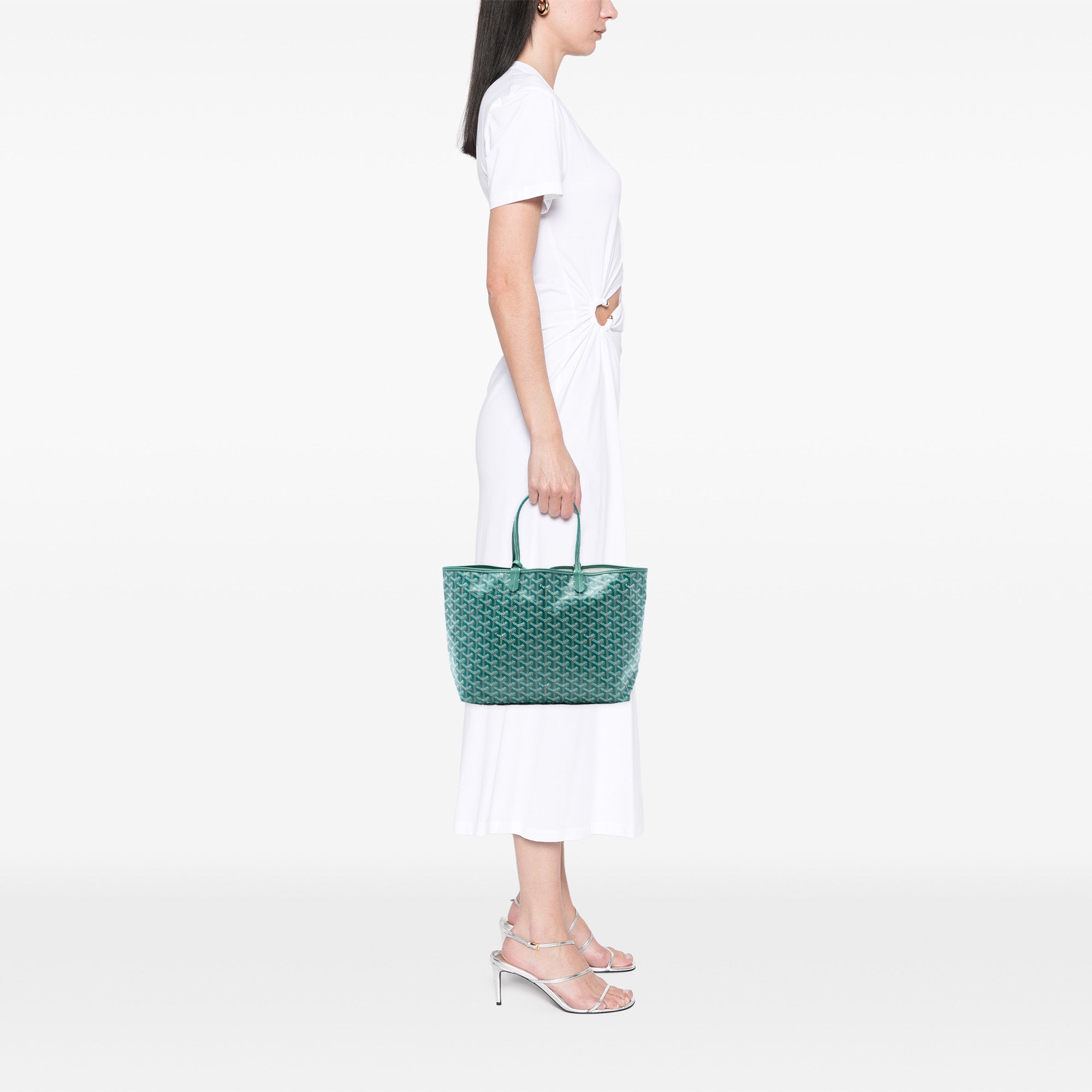 Goyard Goyardine Saint Louis PM - image 7