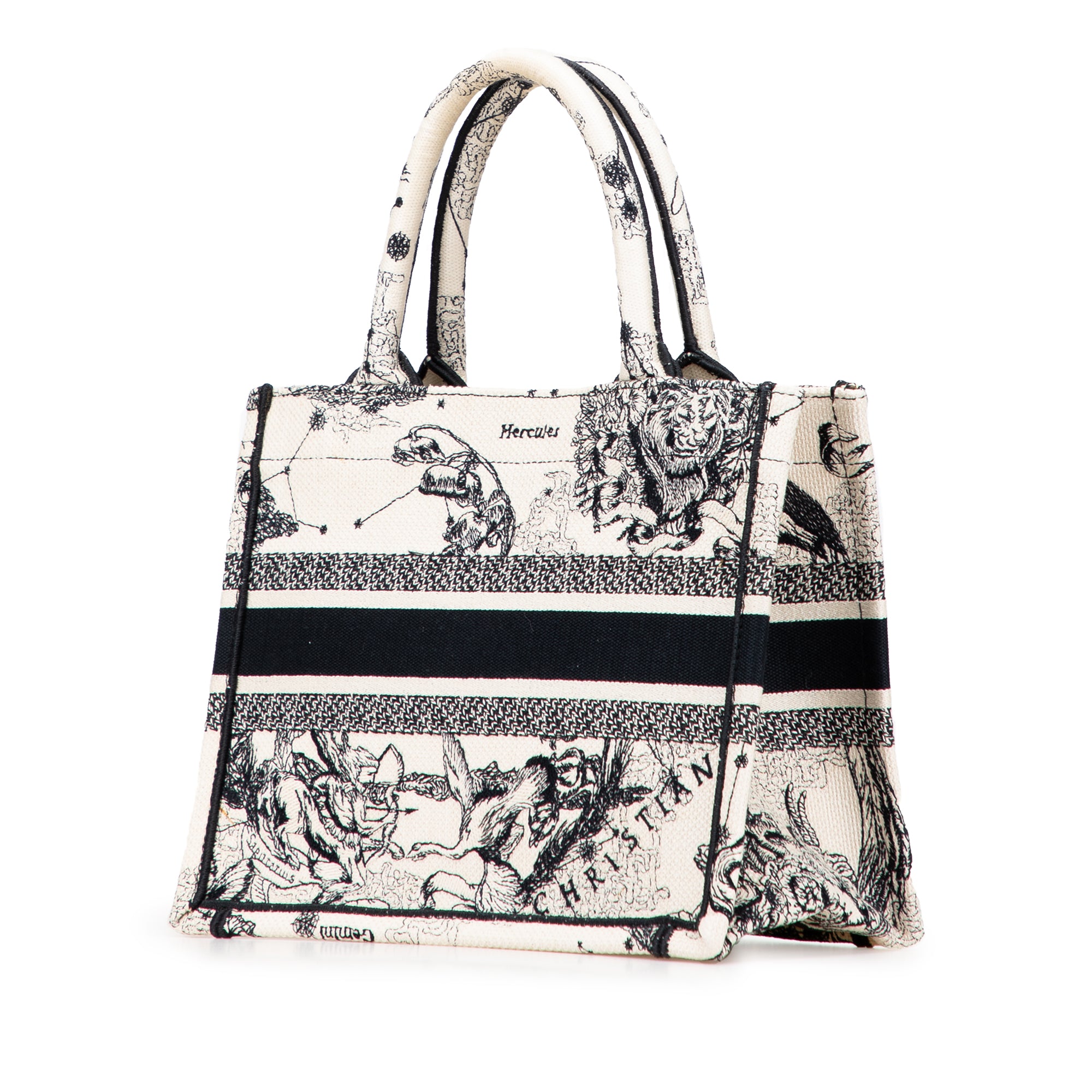 Dior Small Canvas Embroidered Zodiac Toile De Jouy Book Tote - image 2