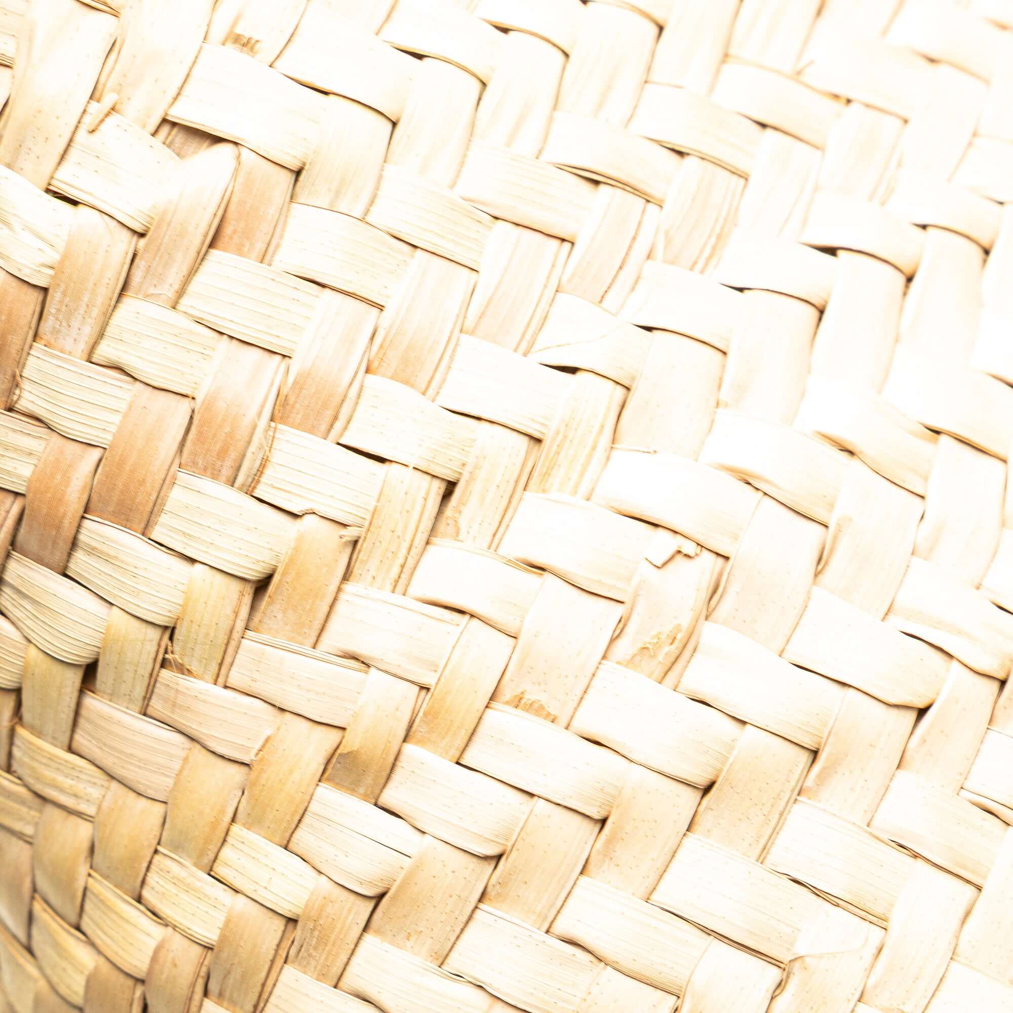 Loewe Medium Raffia Basket Tote