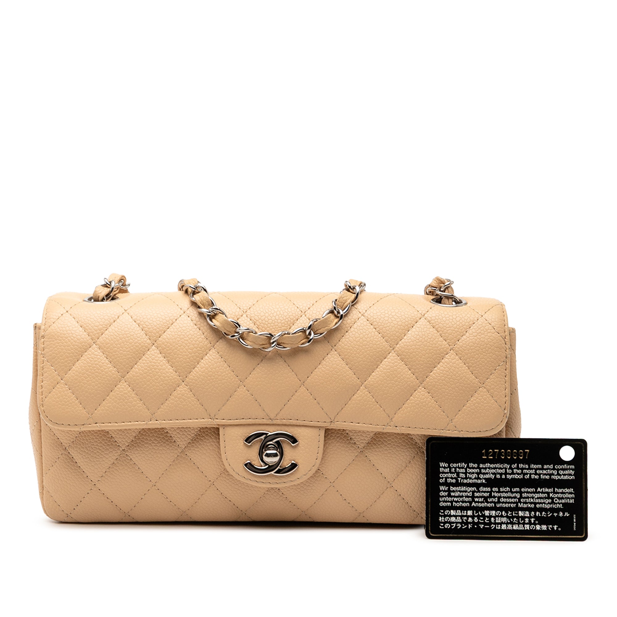 Chanel Classic Caviar East West Single Flap - image 8