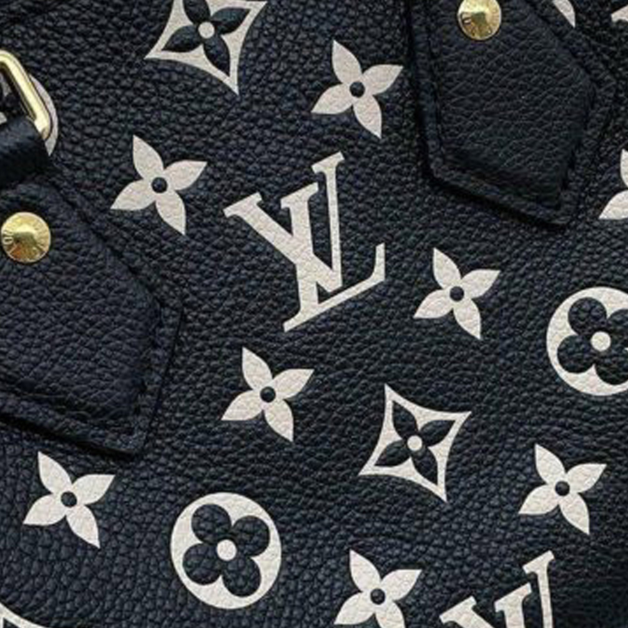 Louis Vuitton Tricolor Monogram Empreinte Speedy Bandouliere 20 - image 9