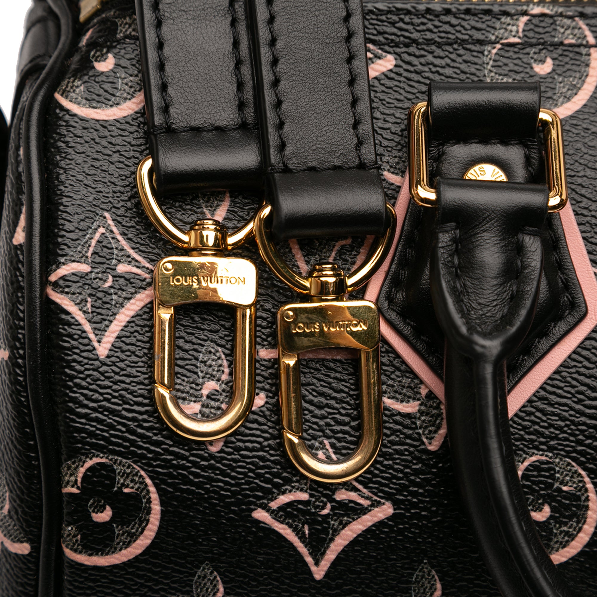 Louis Vuitton Monogram Fall for You Speedy Bandouliere 25 - image 6