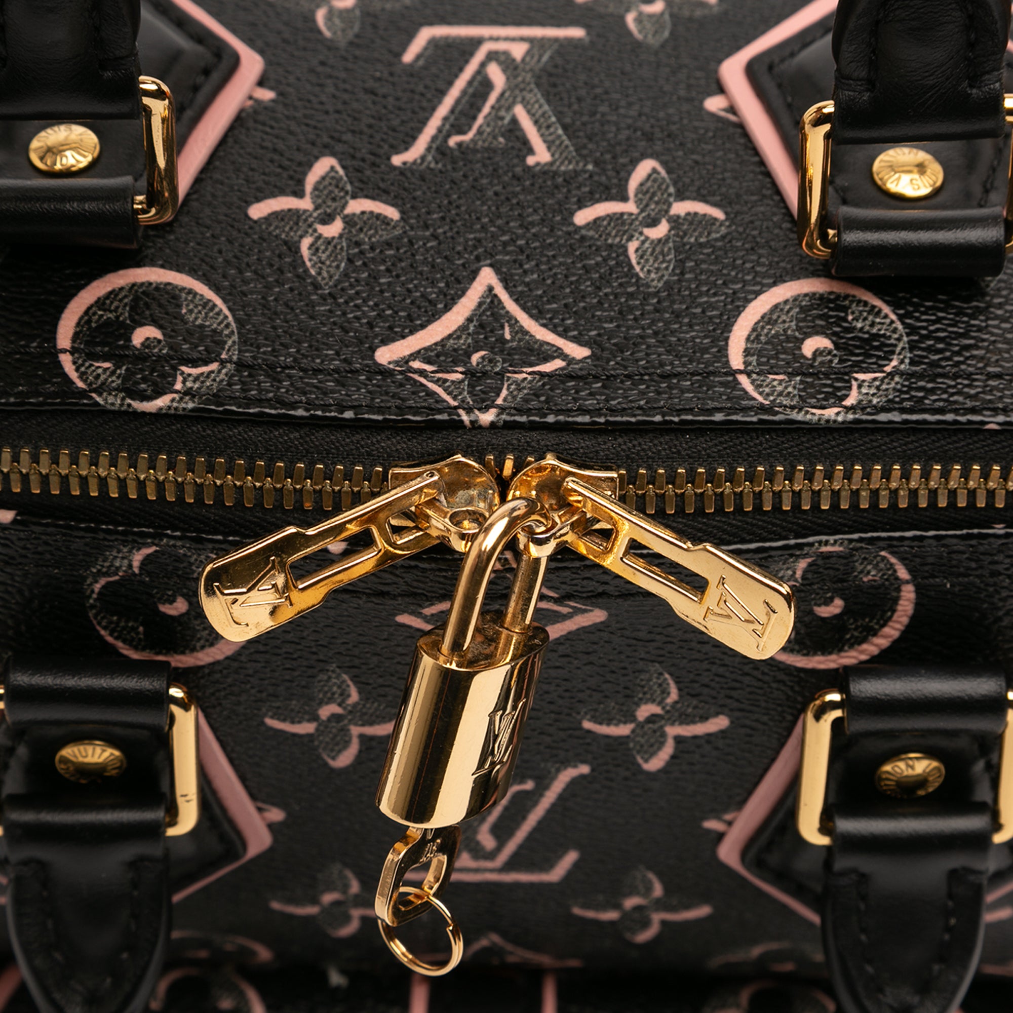 Louis Vuitton Monogram Fall for You Speedy Bandouliere 25 - image 7