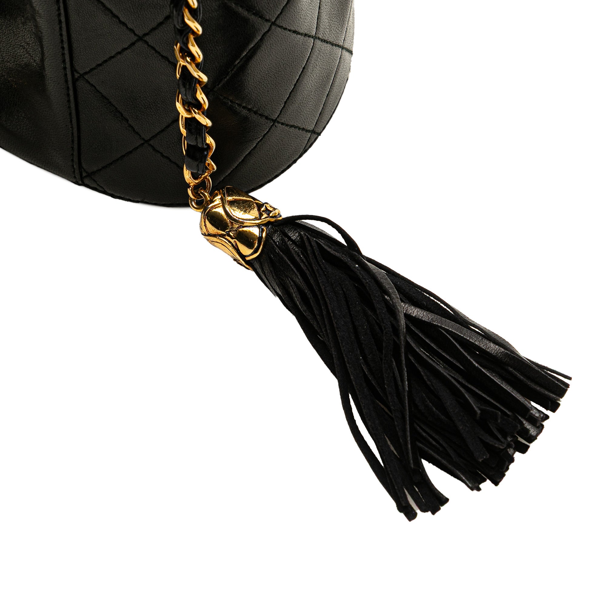 Chanel Quilted Lambskin Tassel Vanity Case with Chain - image 10