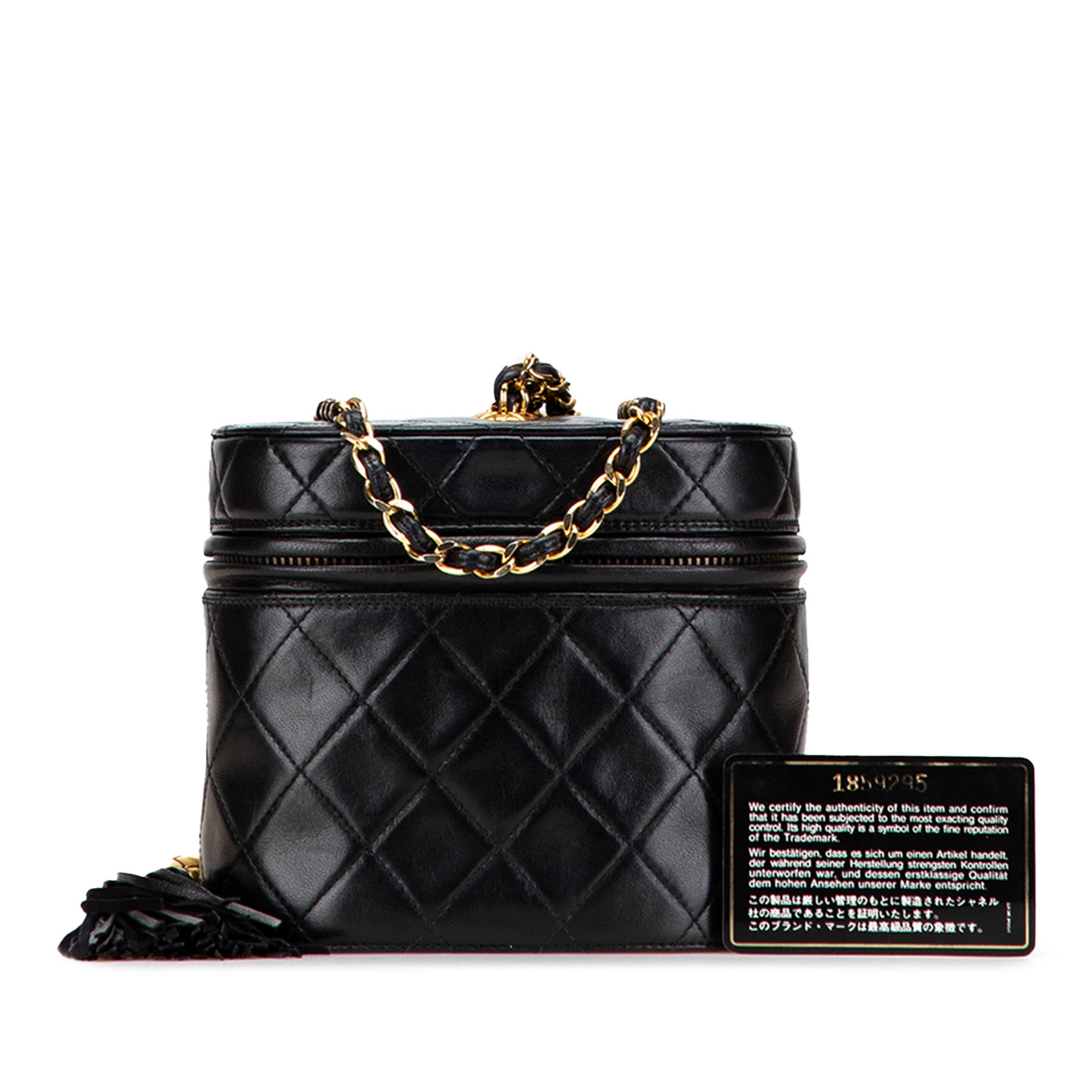 Chanel Quilted Lambskin Tassel Vanity Case with Chain - image 12