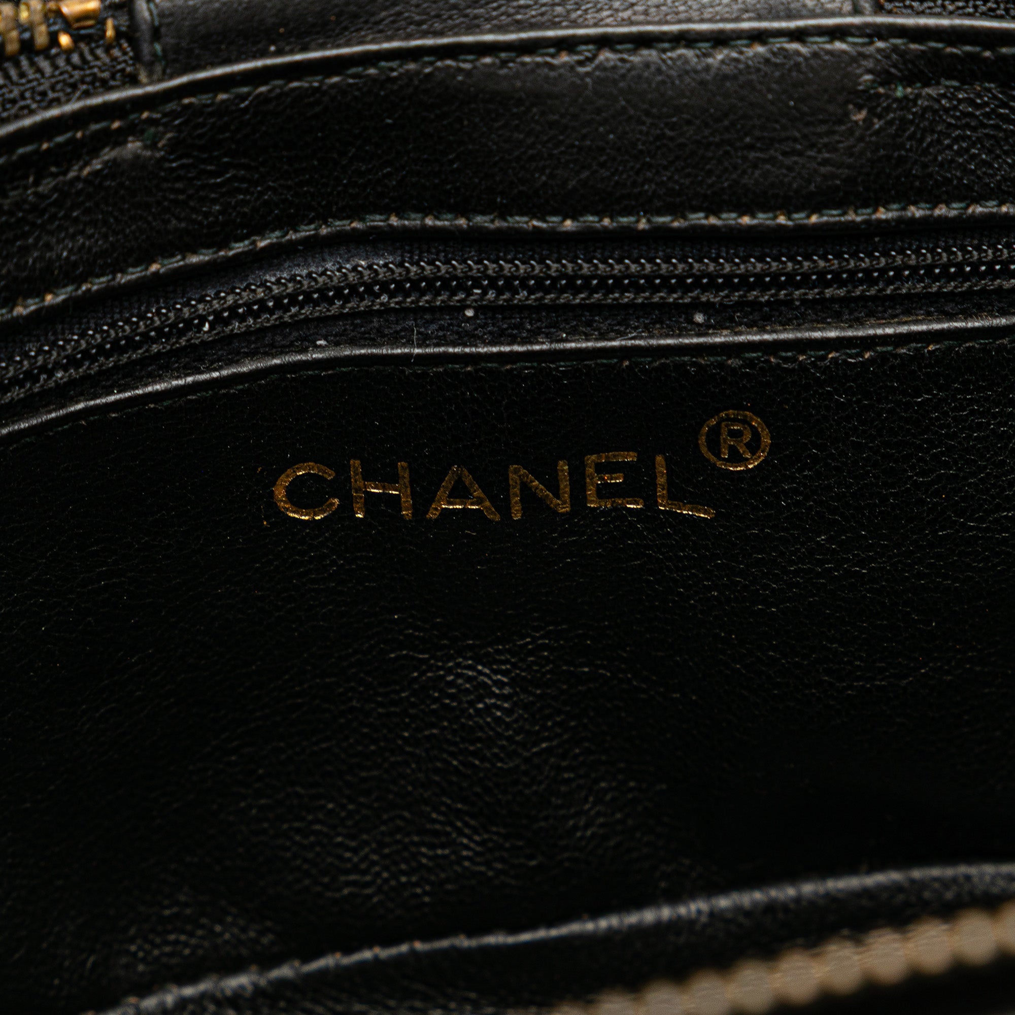 Chanel Quilted Lambskin Tassel Vanity Case with Chain - image 5