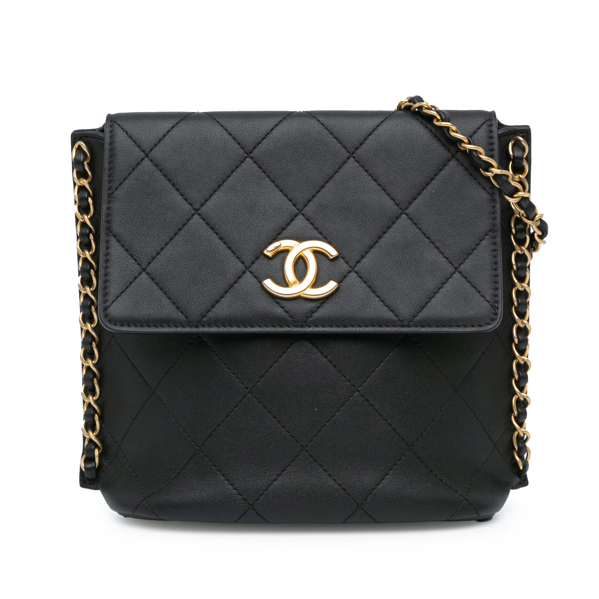 Chanel Small Quilted Calfskin Chain Hobo Flap - image 1