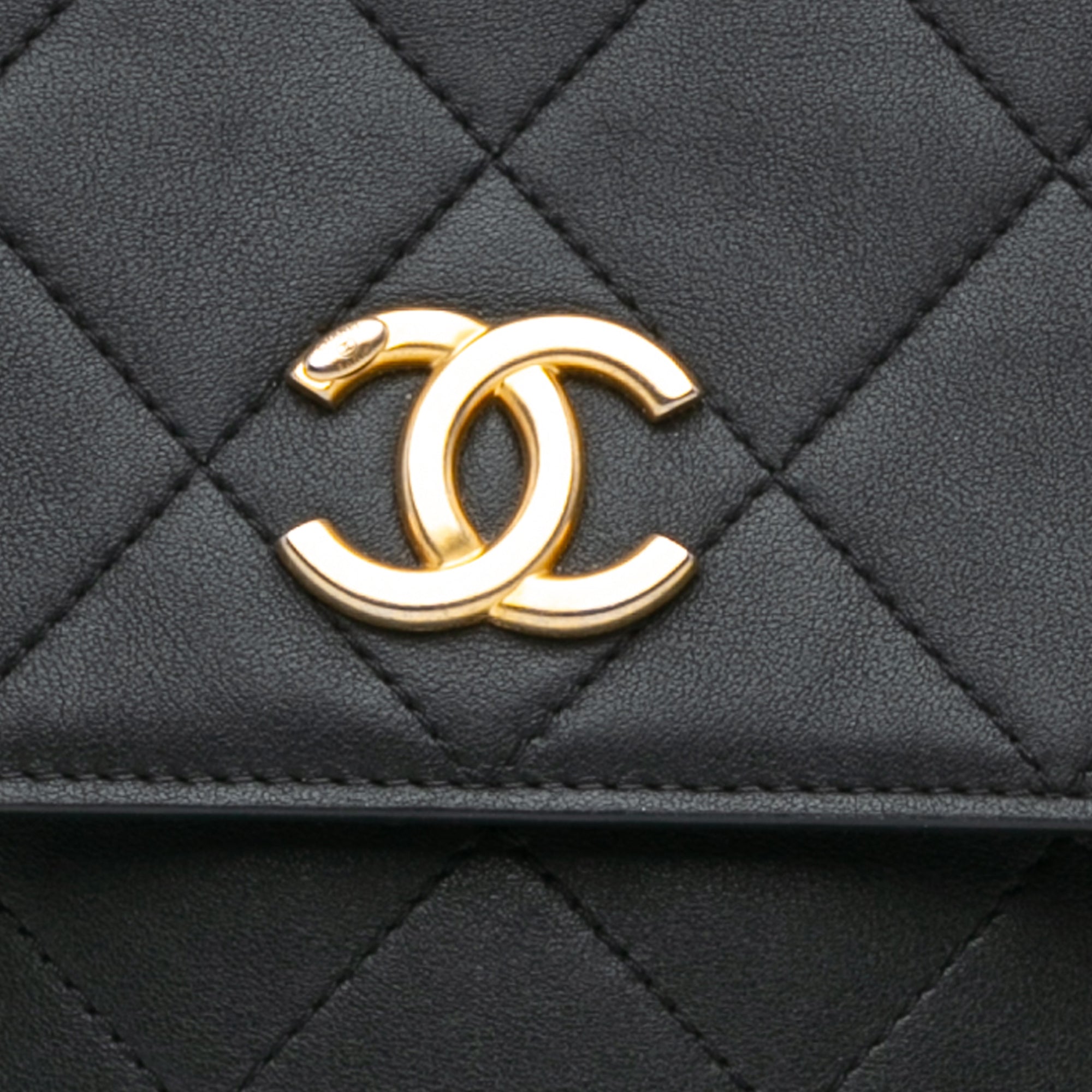 Chanel Small Quilted Calfskin Chain Hobo Flap - image 7