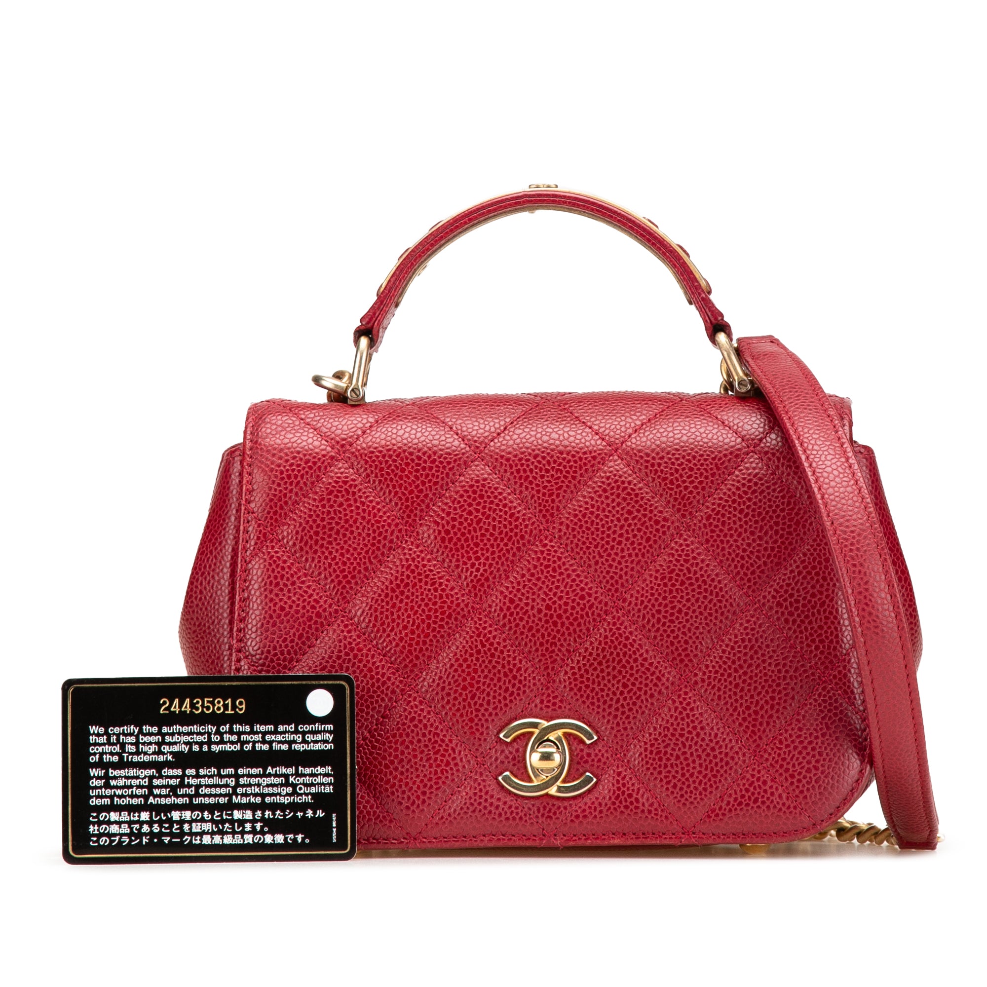 Chanel Mini Quilted Caviar Carry Around Flap - image 12
