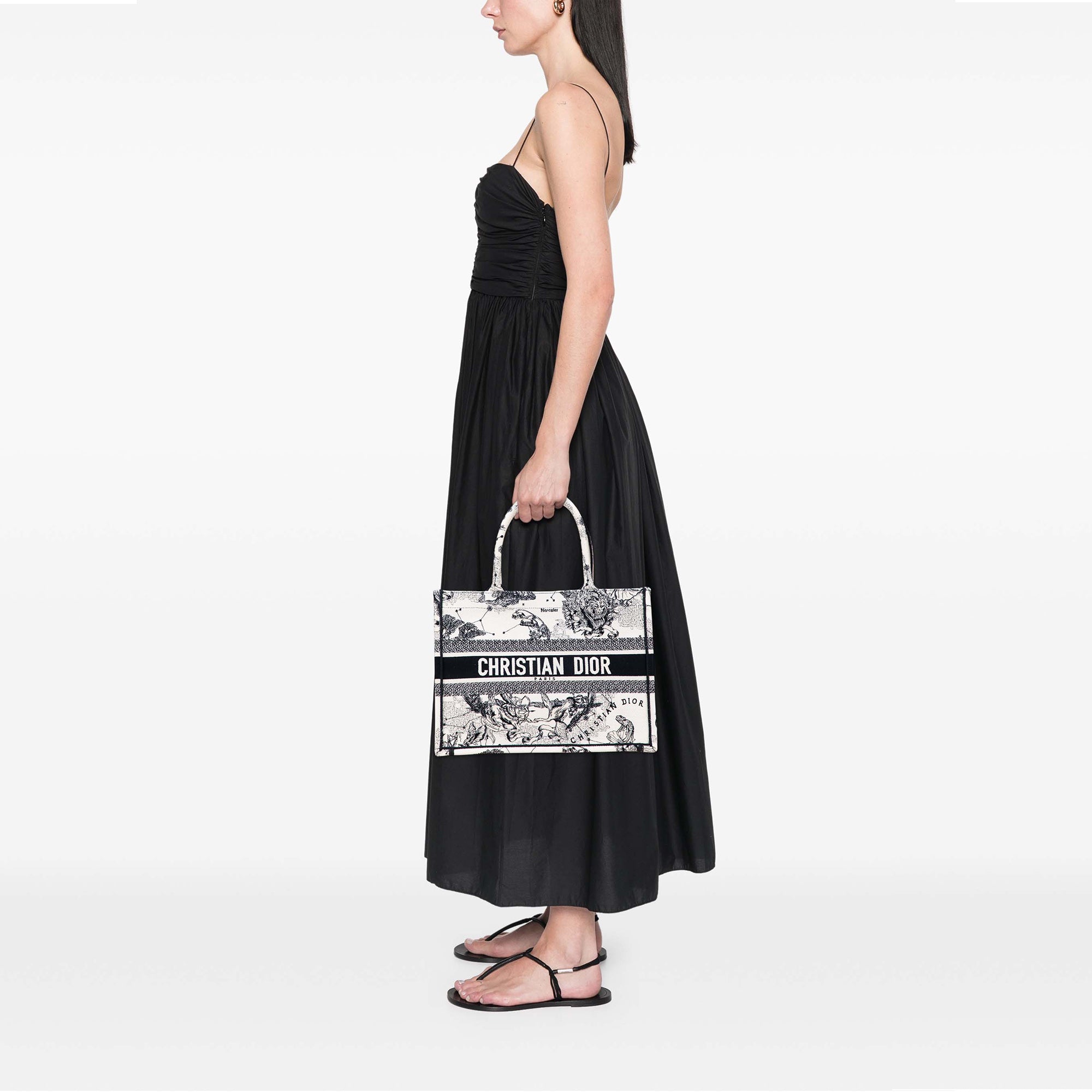 Dior Small Canvas Embroidered Zodiac Toile De Jouy Book Tote - image 11