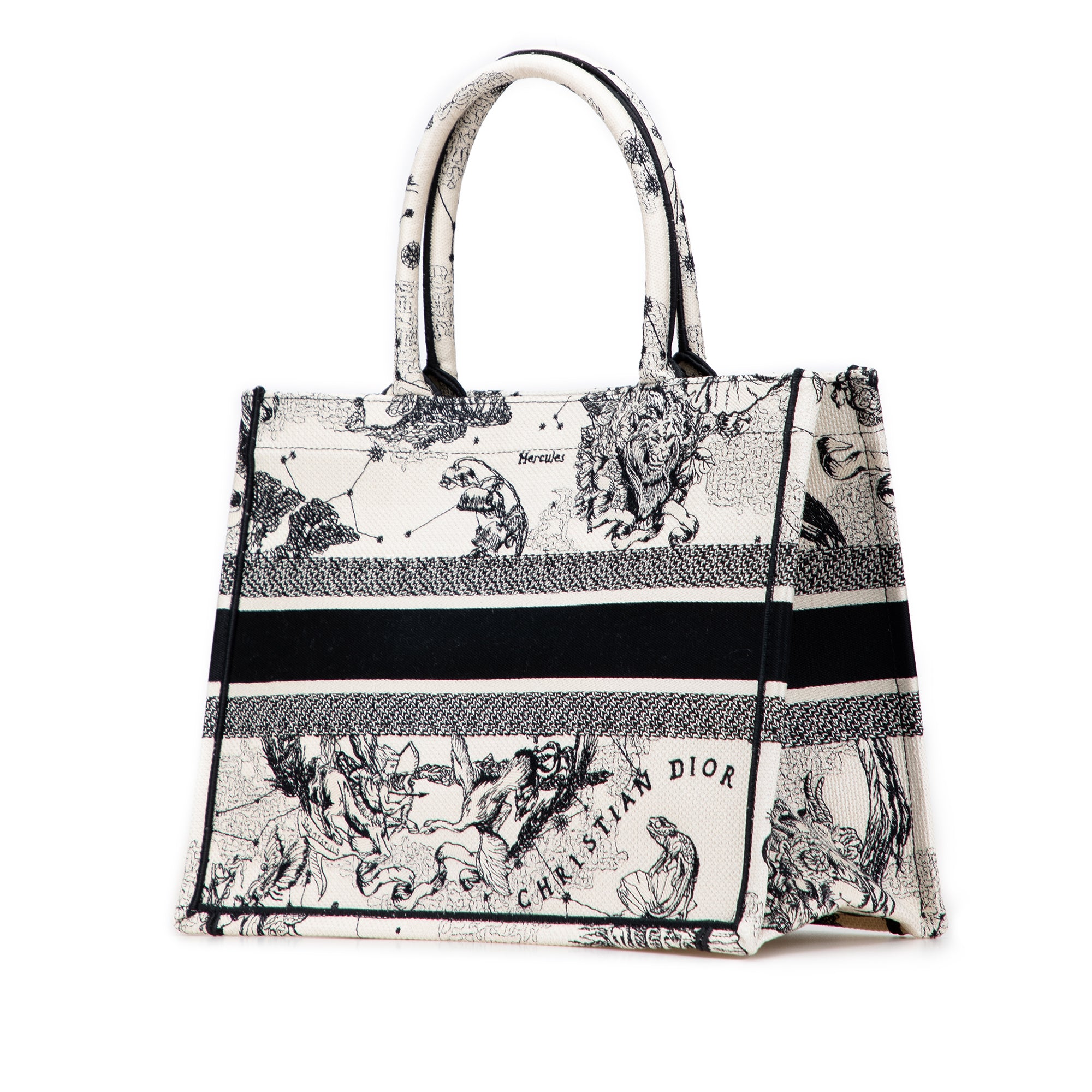 Dior Small Canvas Embroidered Zodiac Toile De Jouy Book Tote - image 2