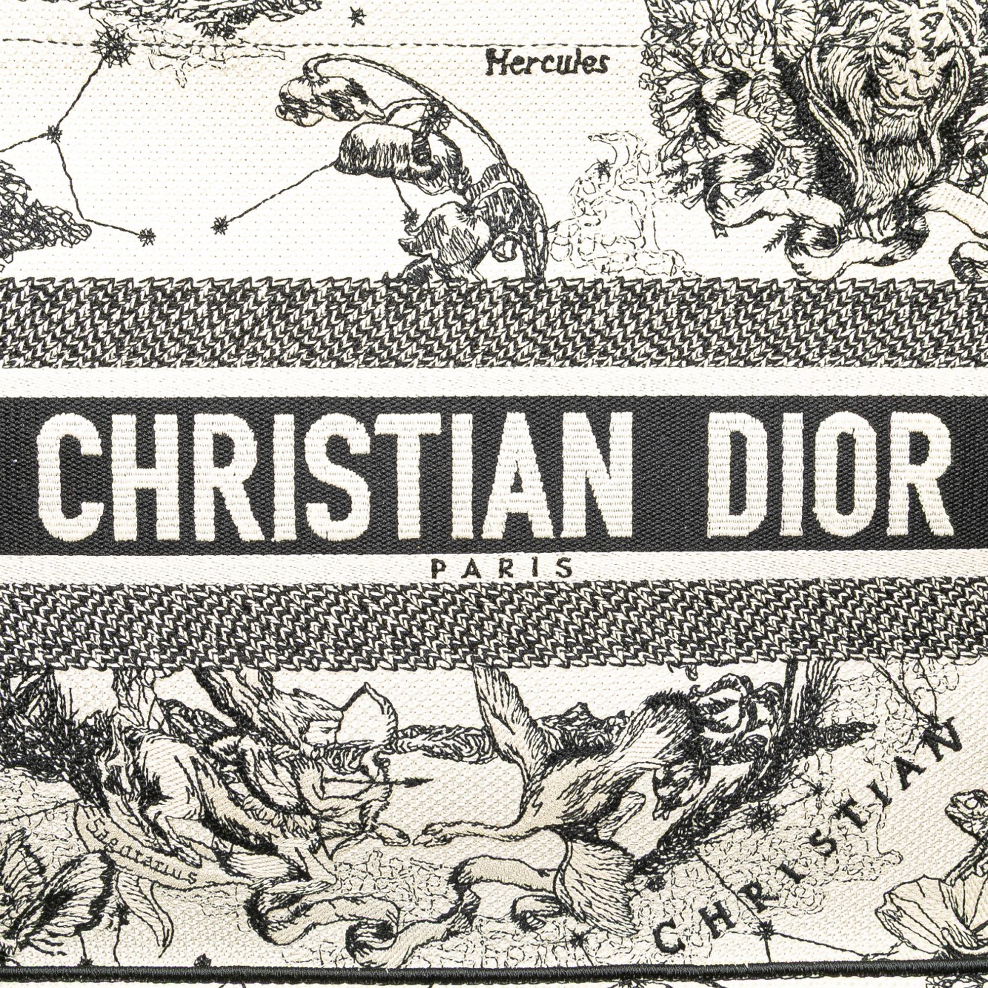 Dior Small Canvas Embroidered Zodiac Toile De Jouy Book Tote - image 9