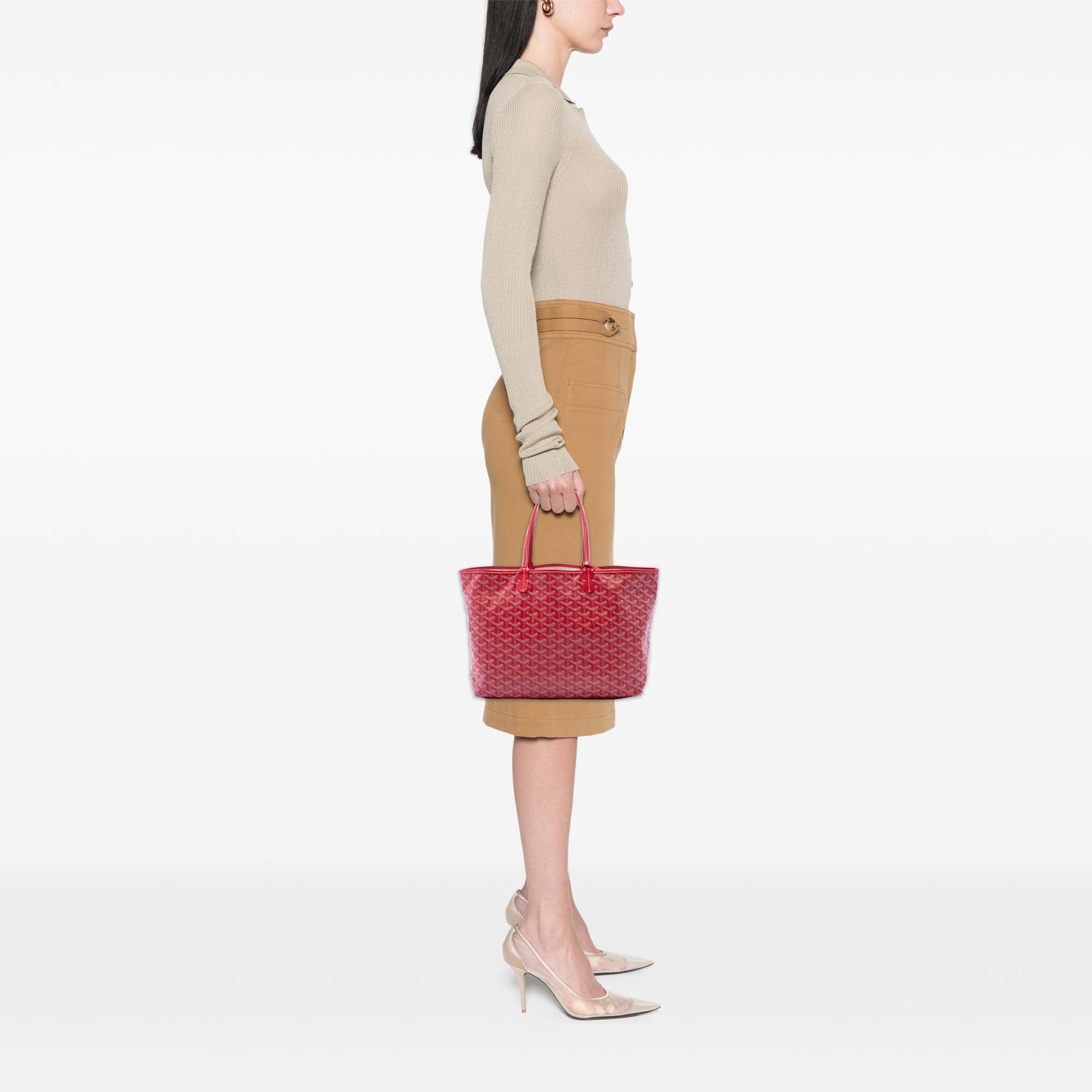 Goyard Goyardine Saint Louis PM - image 6