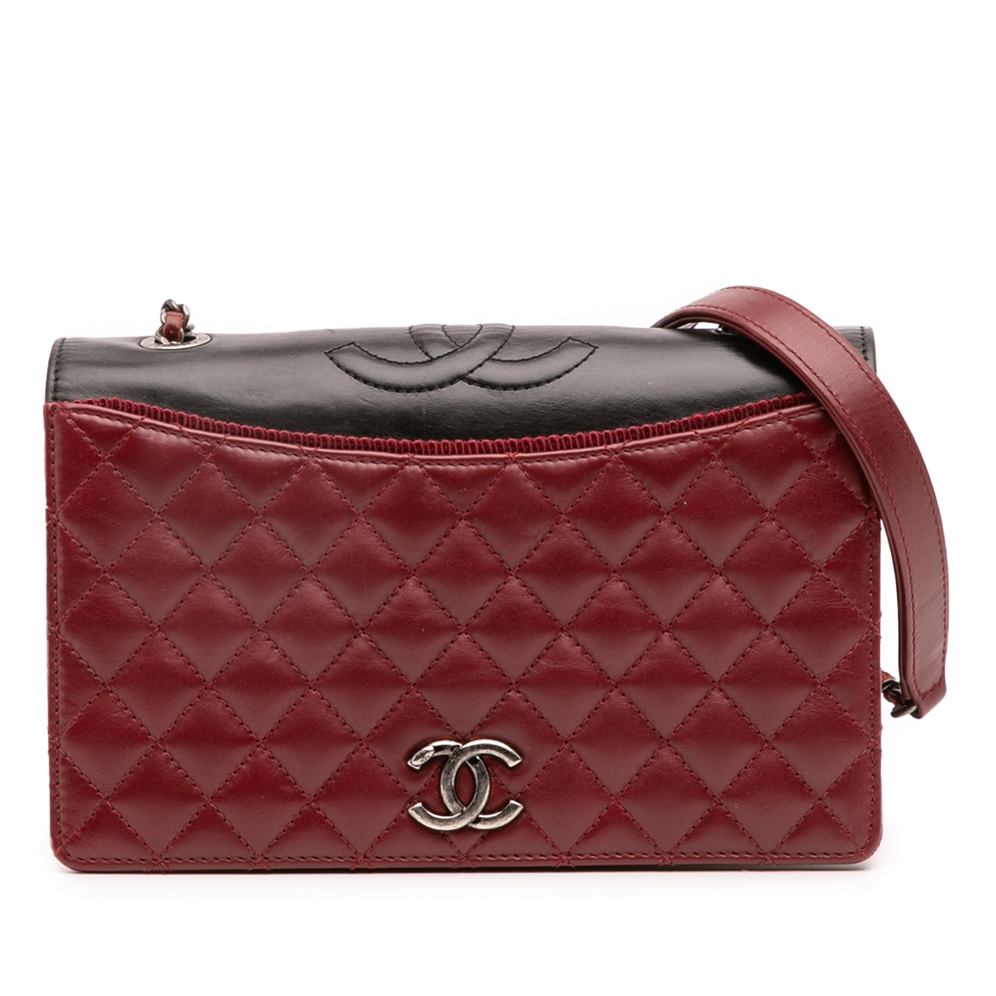 Chanel Small Quilted Lambskin Ballerine Flap Bag - image 1