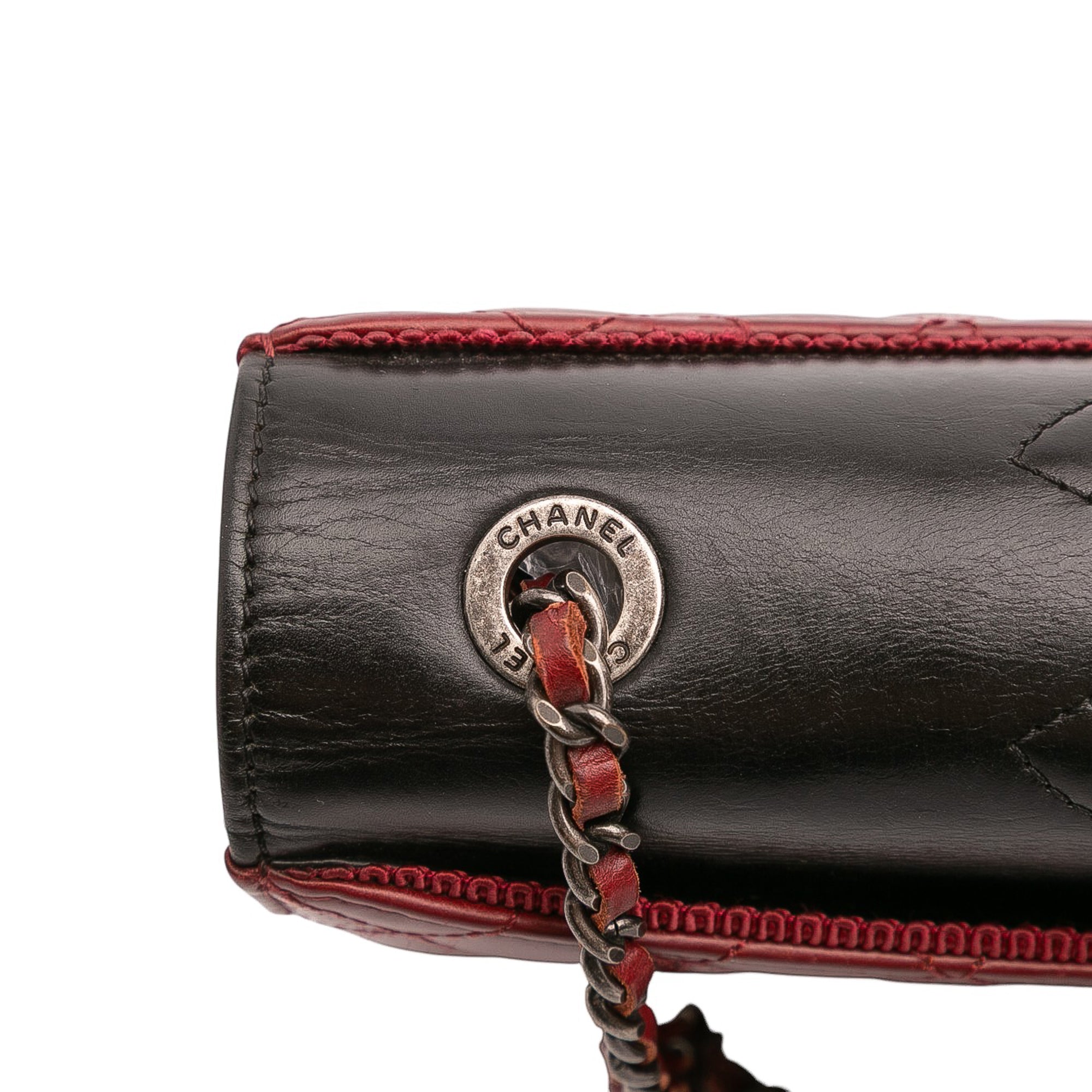 Chanel Small Quilted Lambskin Ballerine Flap Bag - image 10