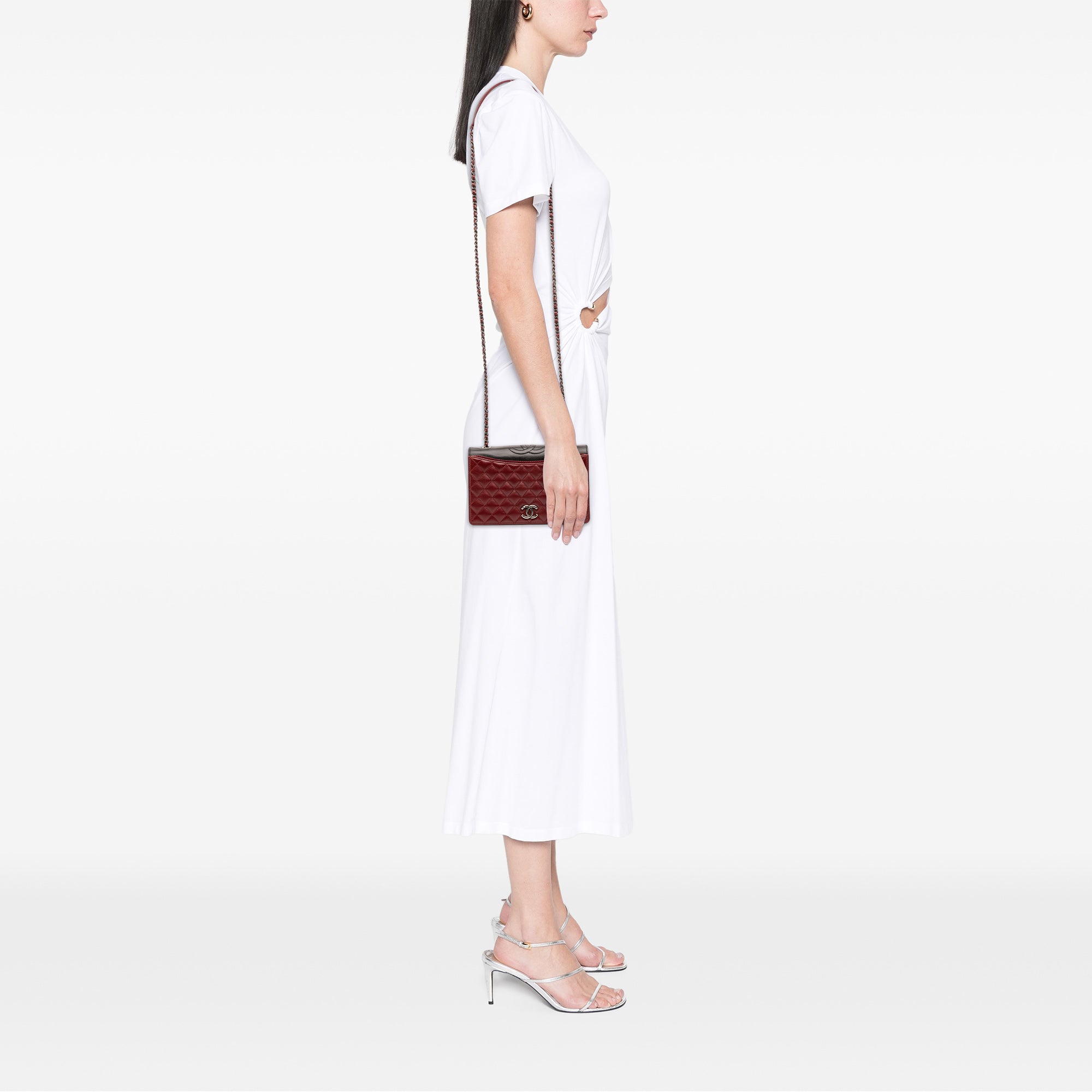 Chanel Small Quilted Lambskin Ballerine Flap Bag - image 12