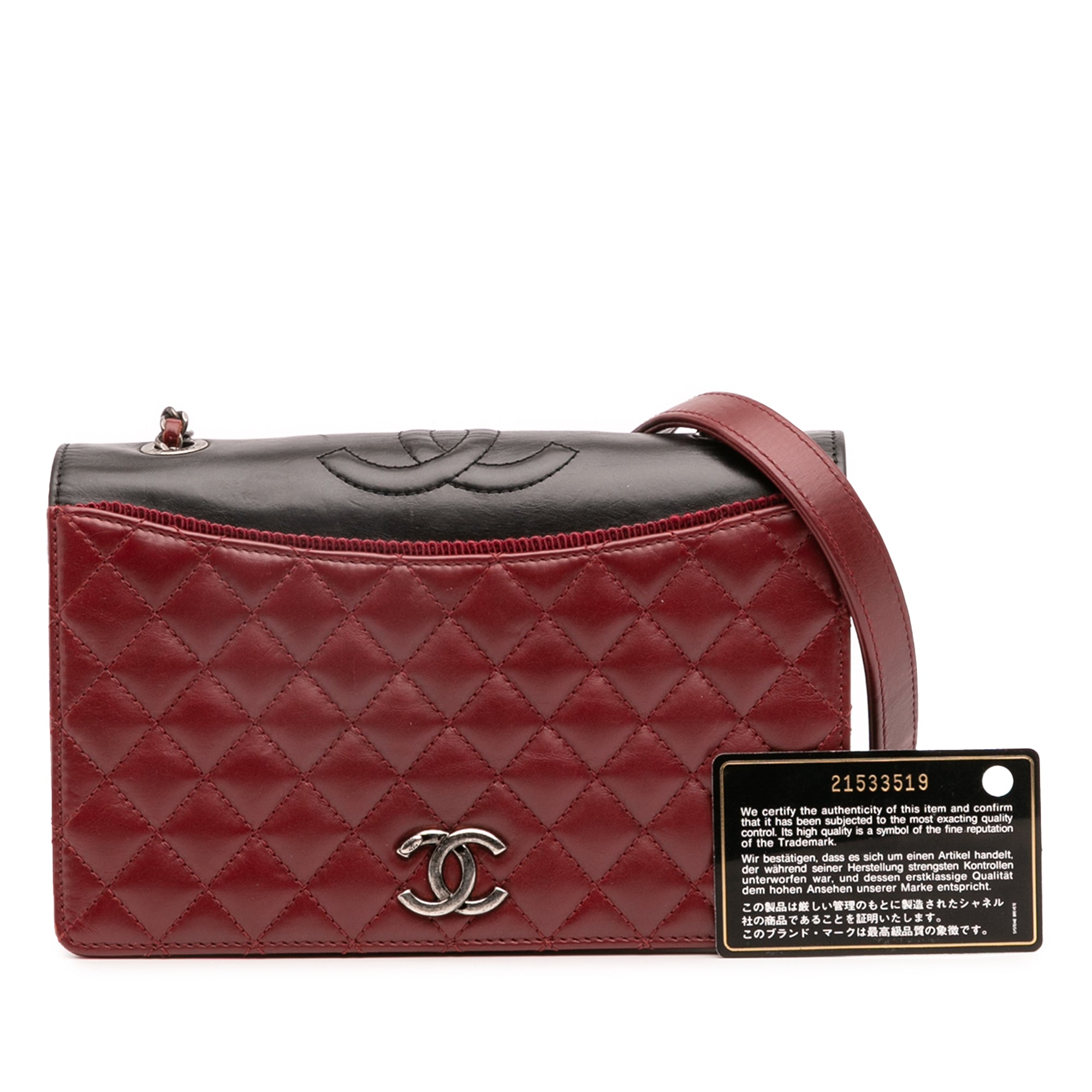Chanel Small Quilted Lambskin Ballerine Flap Bag - image 13