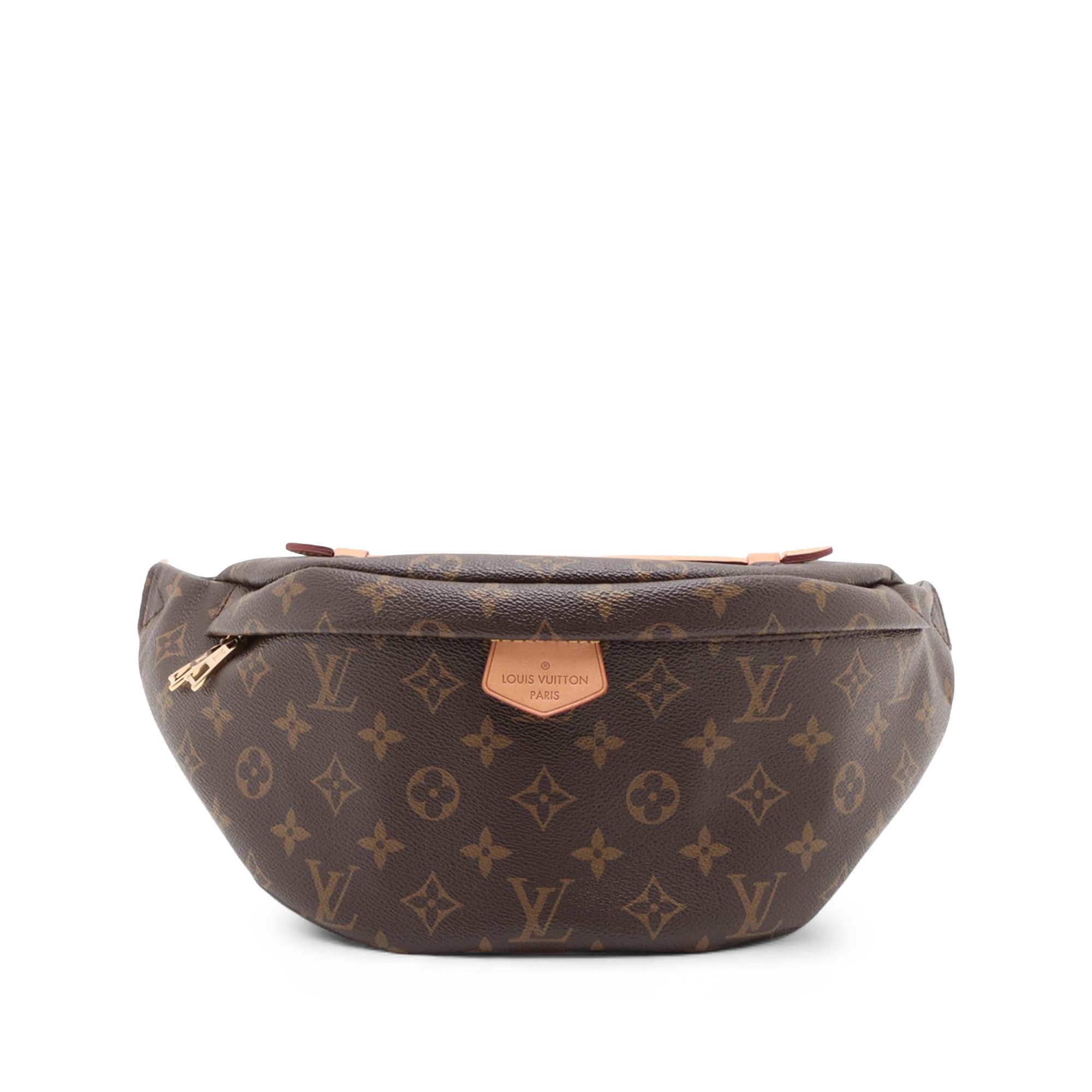 Louis Vuitton Monogram Bumbag - image 1