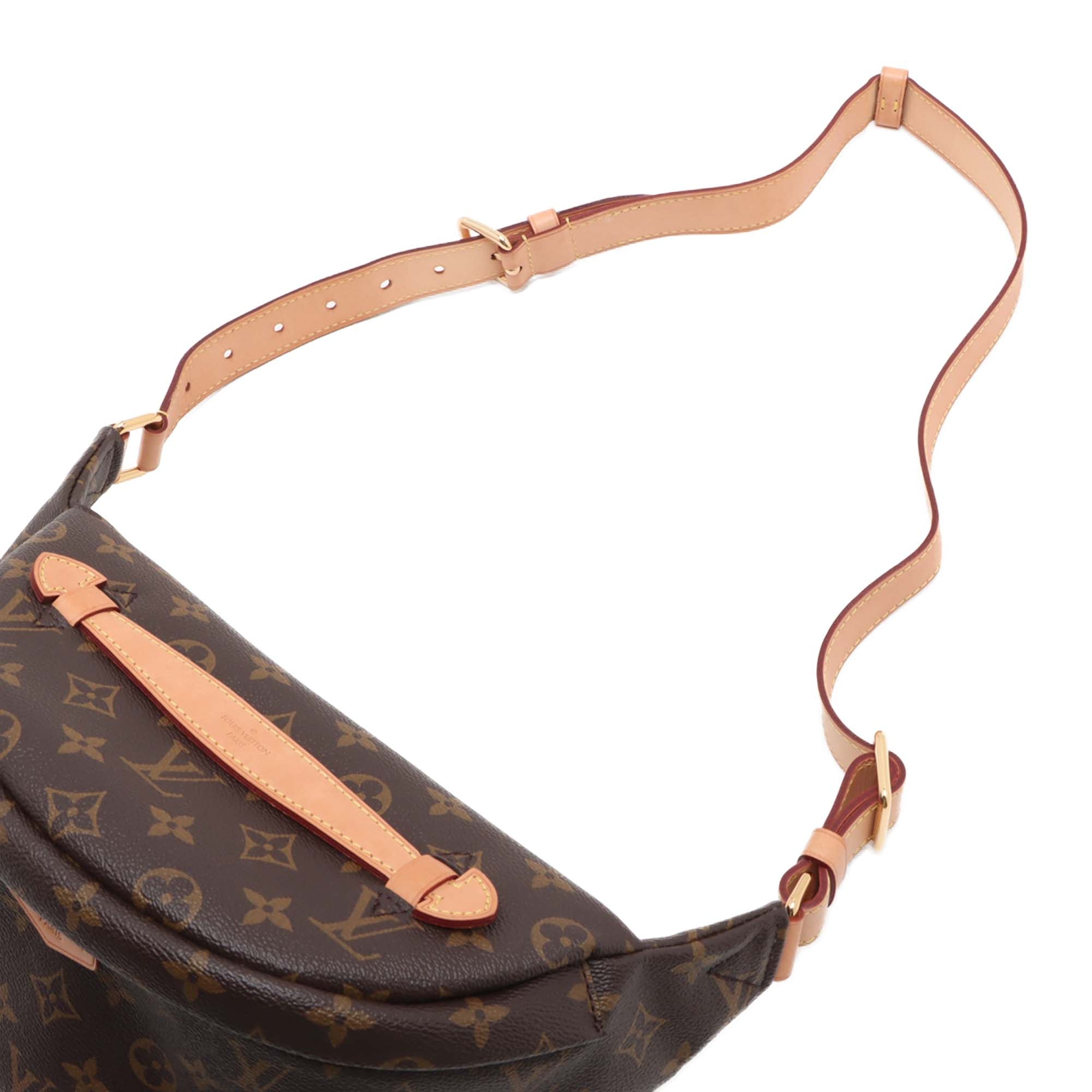 Louis Vuitton Monogram Bumbag - image 10