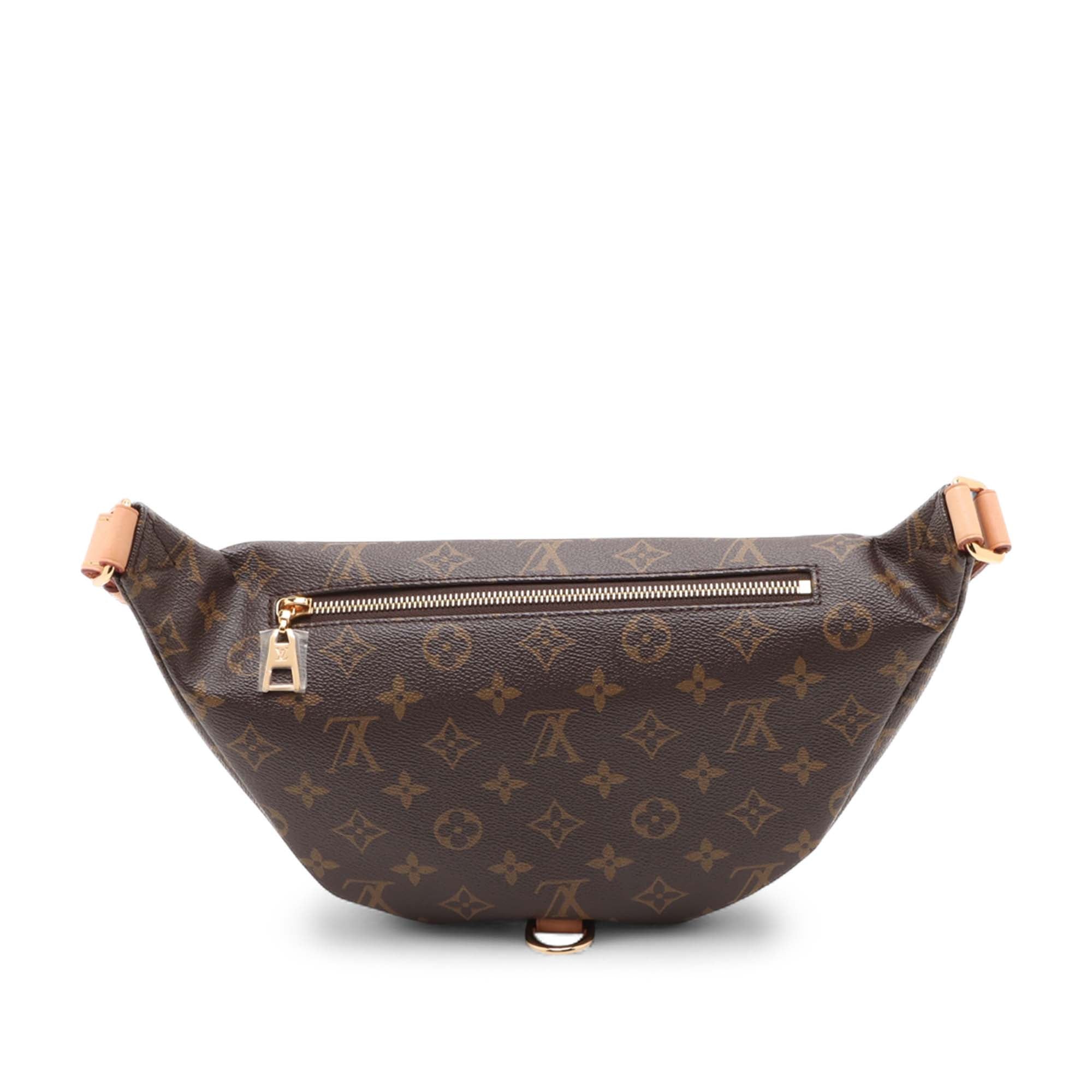 Louis Vuitton Monogram Bumbag - image 2