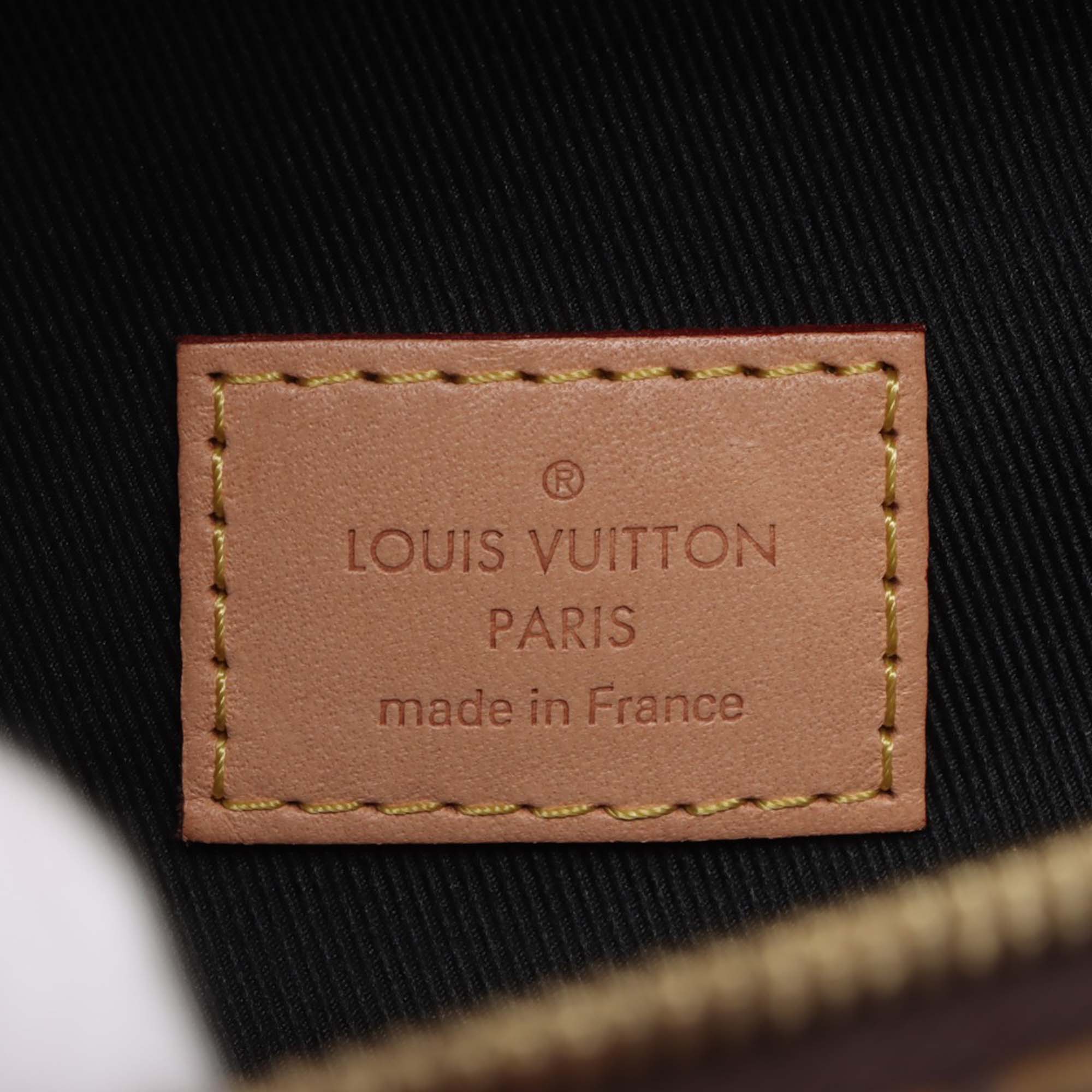Louis Vuitton Monogram Bumbag - image 4