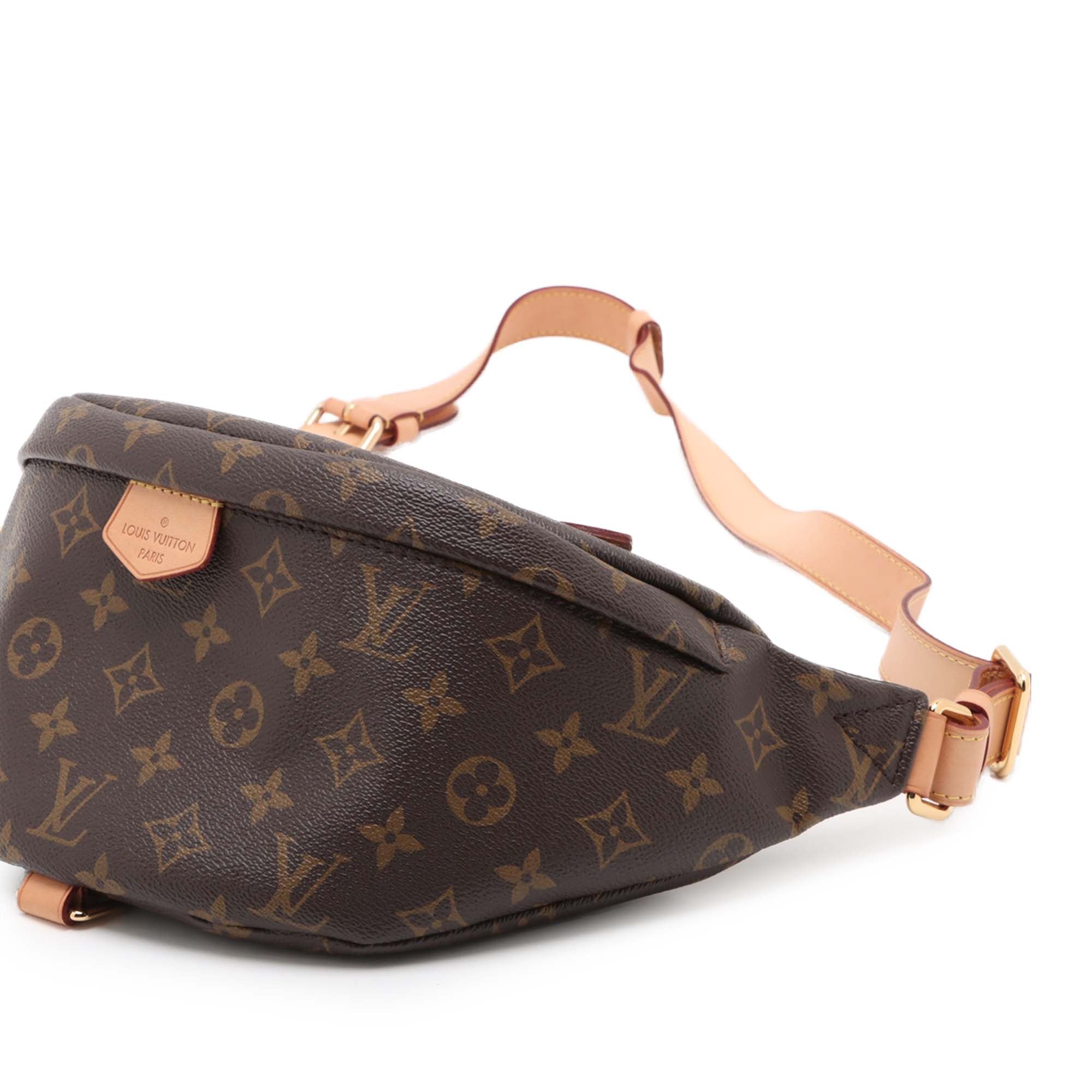 Louis Vuitton Monogram Bumbag - image 5