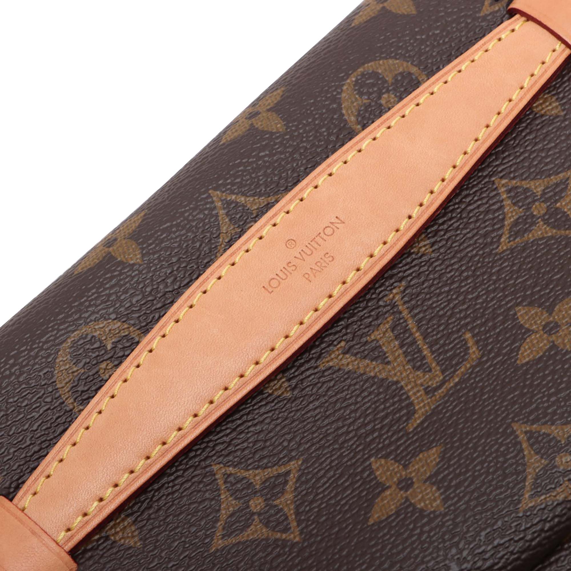 Louis Vuitton Monogram Bumbag - image 8