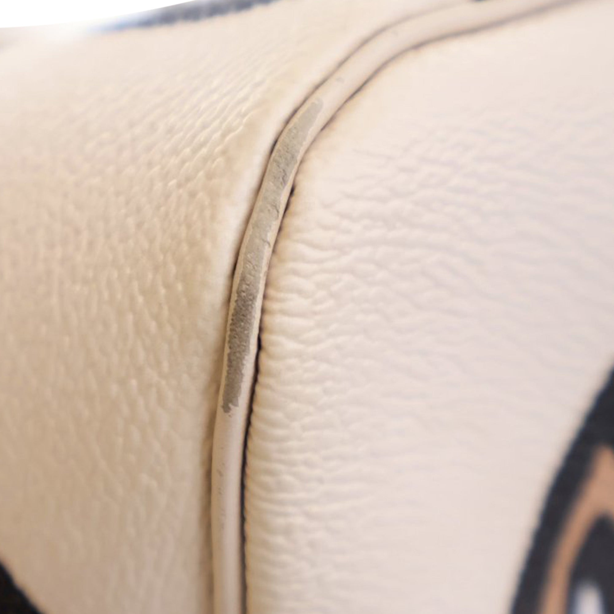 Louis Vuitton Monogram Giant Wild at Heart Neverfull MM - image 5