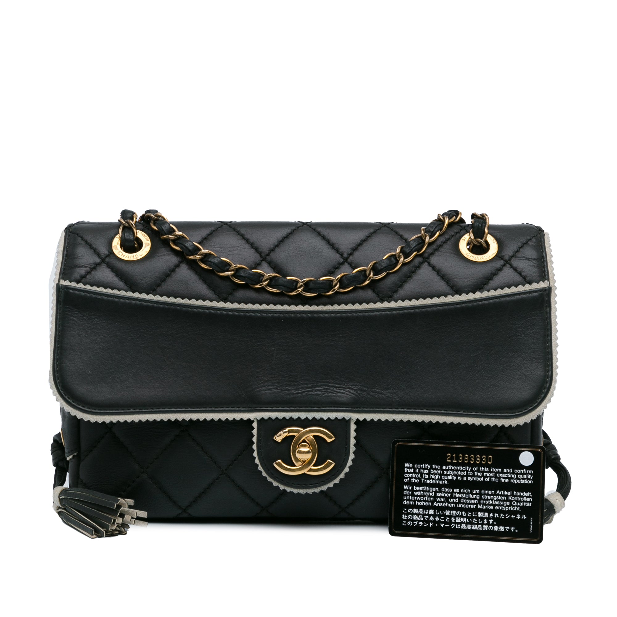 Chanel CC Quilted Lambskin Tassel and Border Embellished Flap - image 10