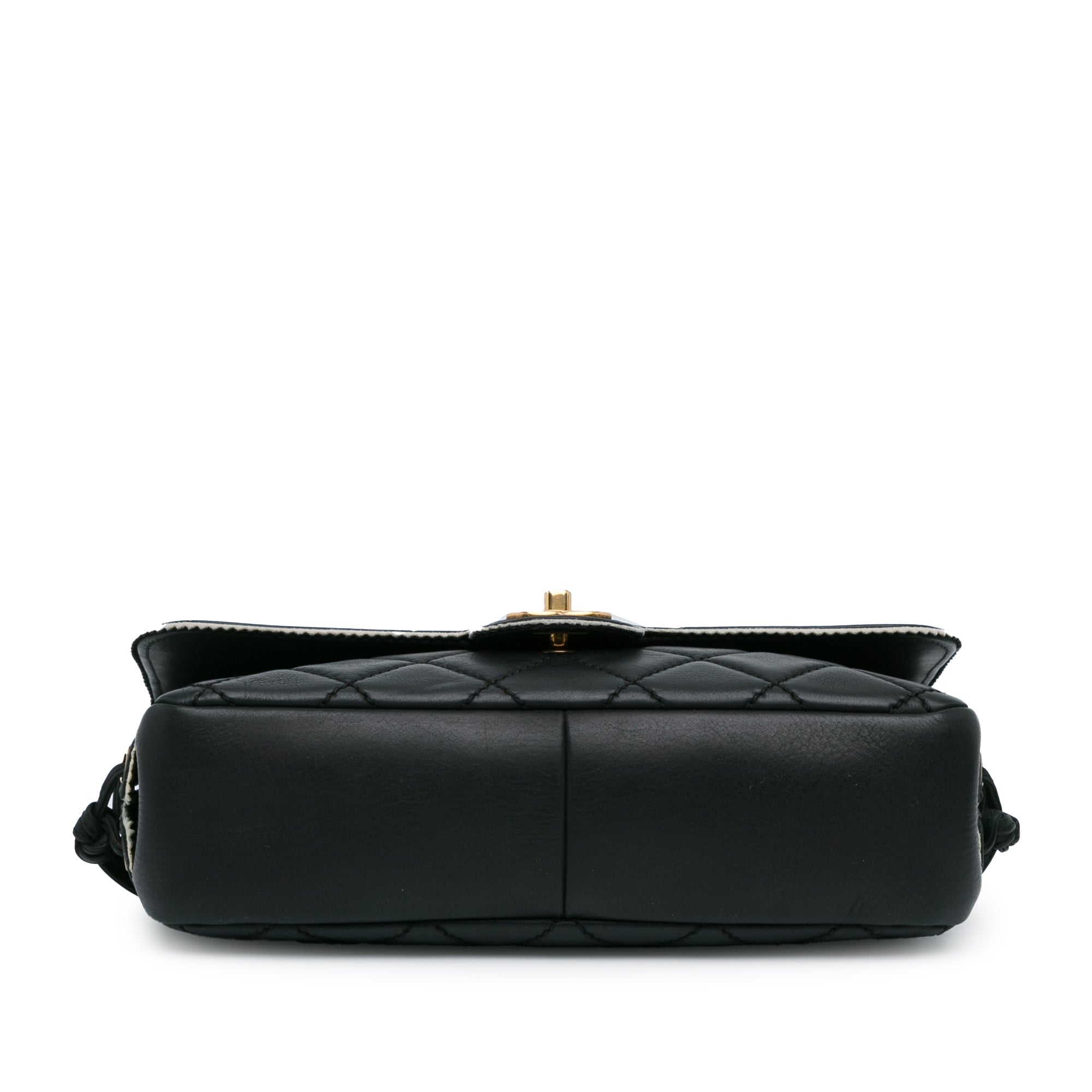 Chanel CC Quilted Lambskin Tassel and Border Embellished Flap - image 4